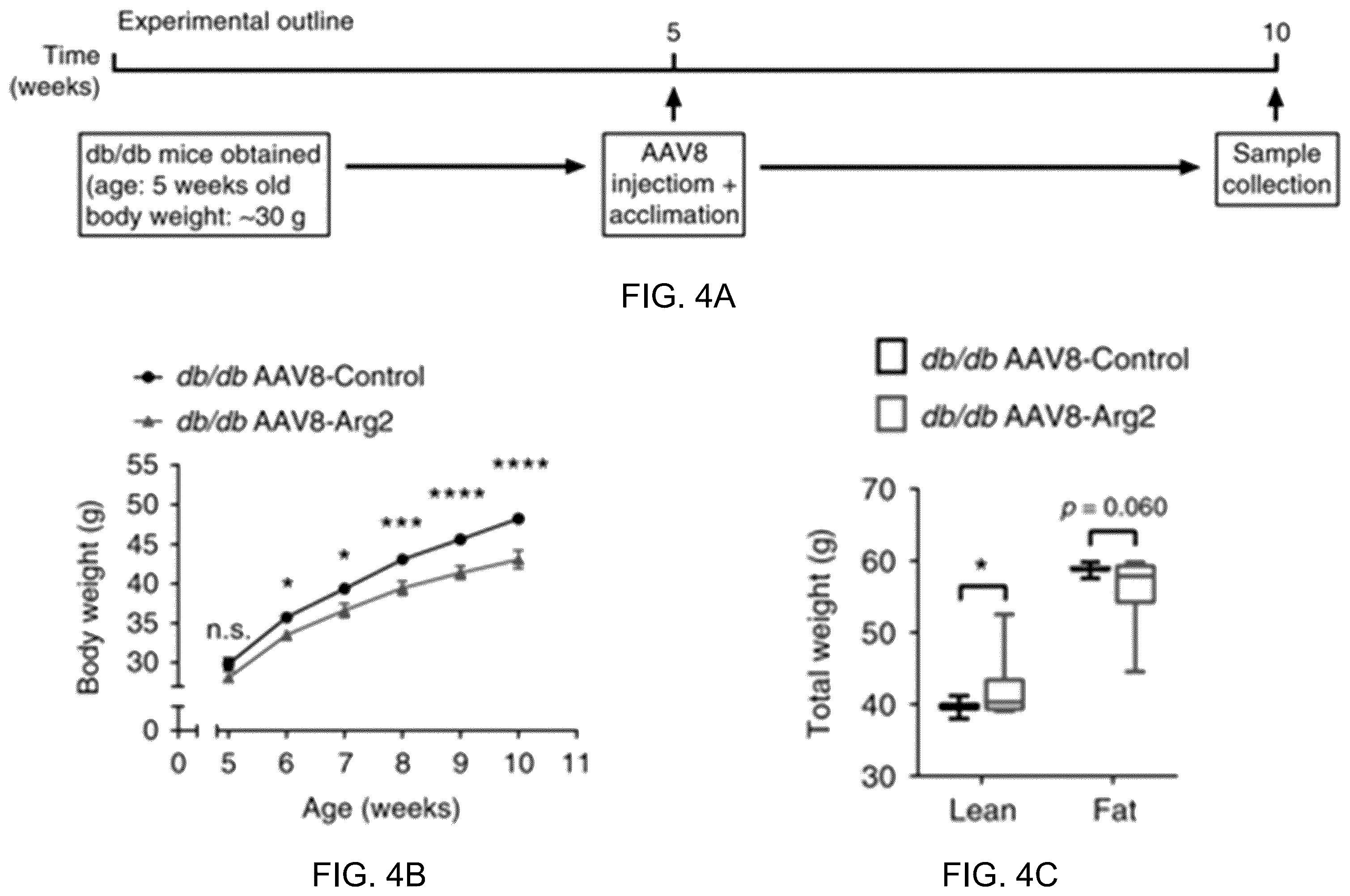 Patent US12508306 Figure 14 – Compositions and methods of use thereof for treatment of metabolic diseases and related disorders