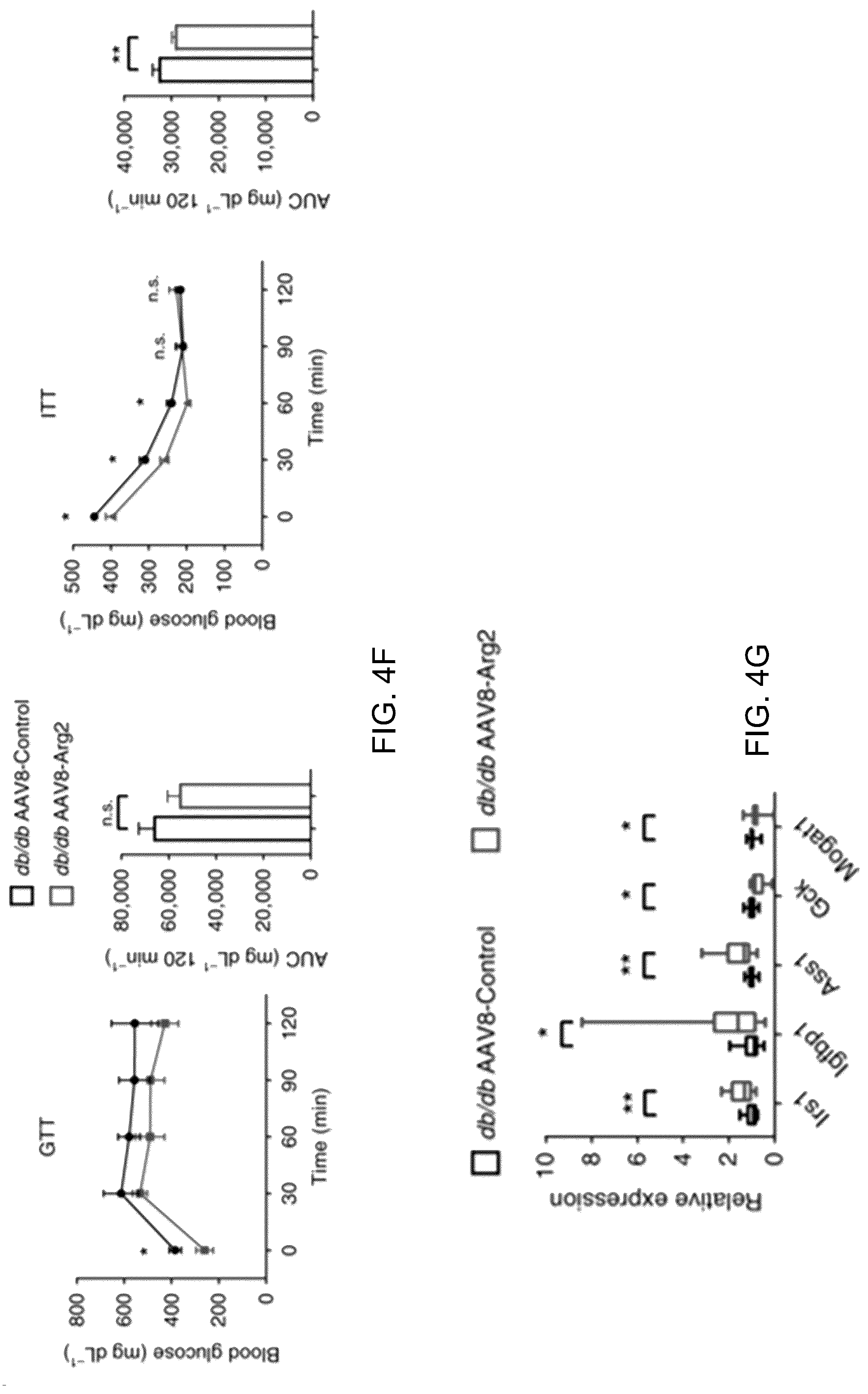 Patent US12508306 Figure 17 – Compositions and methods of use thereof for treatment of metabolic diseases and related disorders