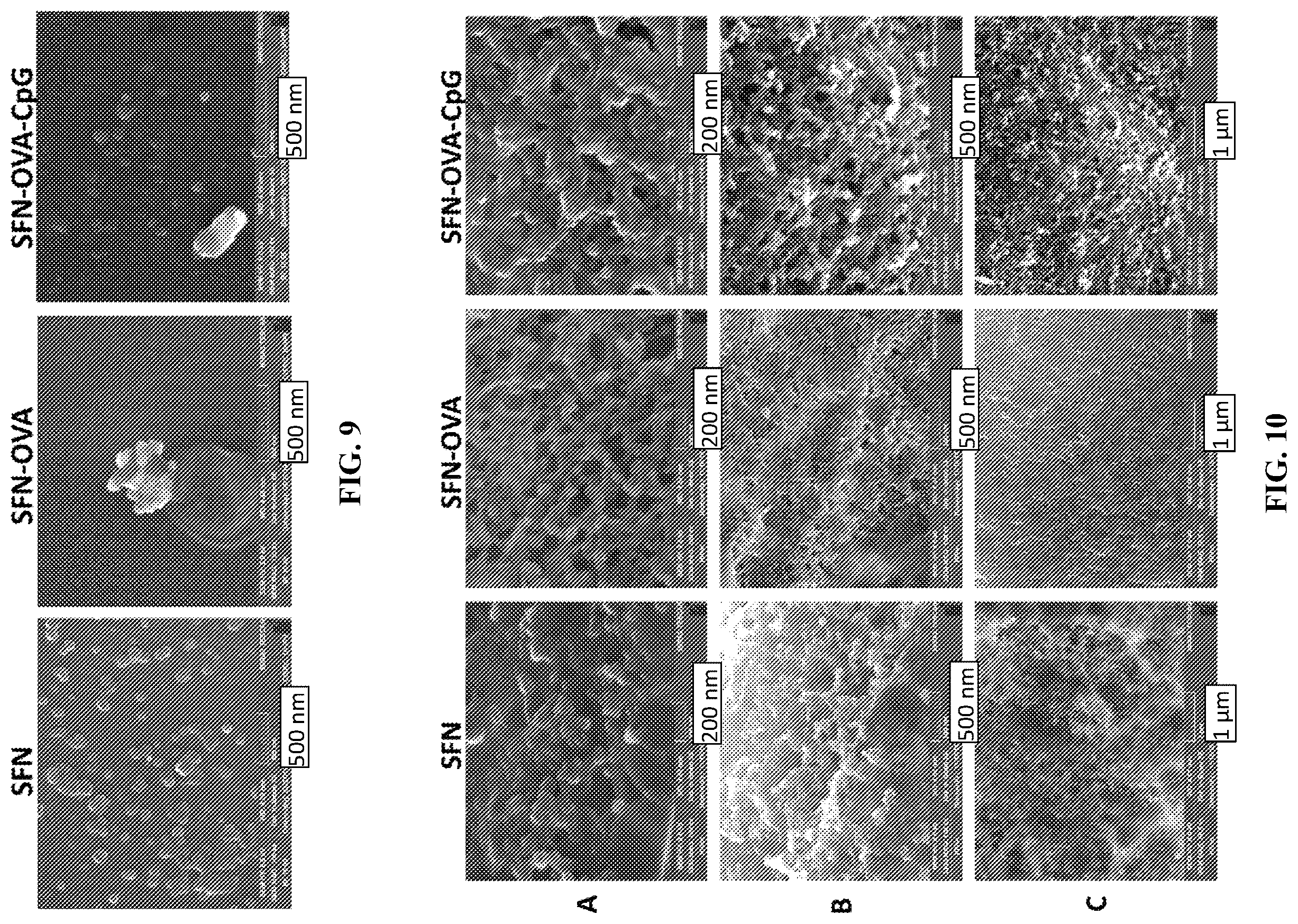 Patent US12508310 Figure 6 – Nanoparticles for use in redirection against the tumour of a non-tumour specific immune response, based on a pre-existing immunity