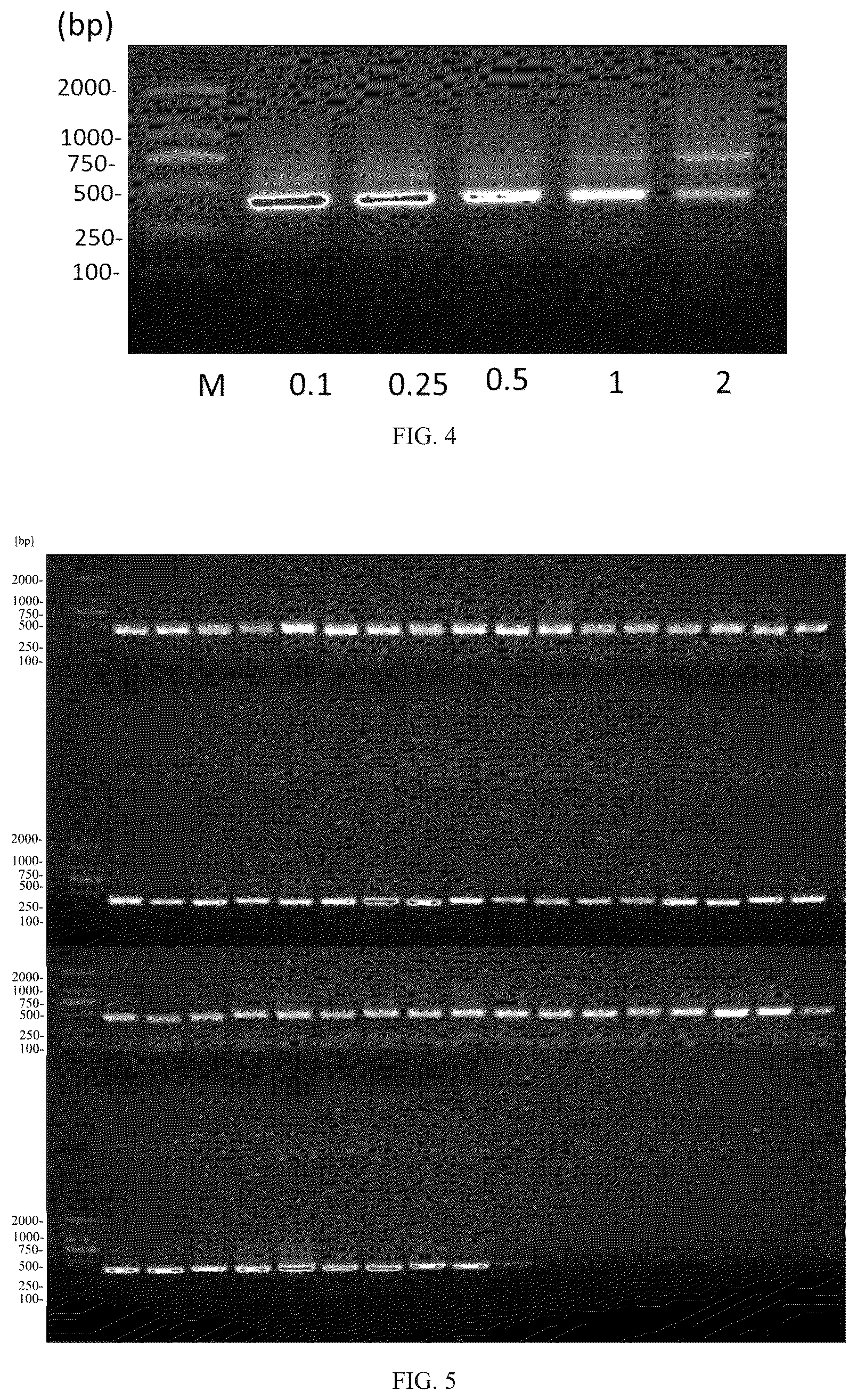Patent US12508311 Figure 2 – Fusion protein, and preparation method and use thereof