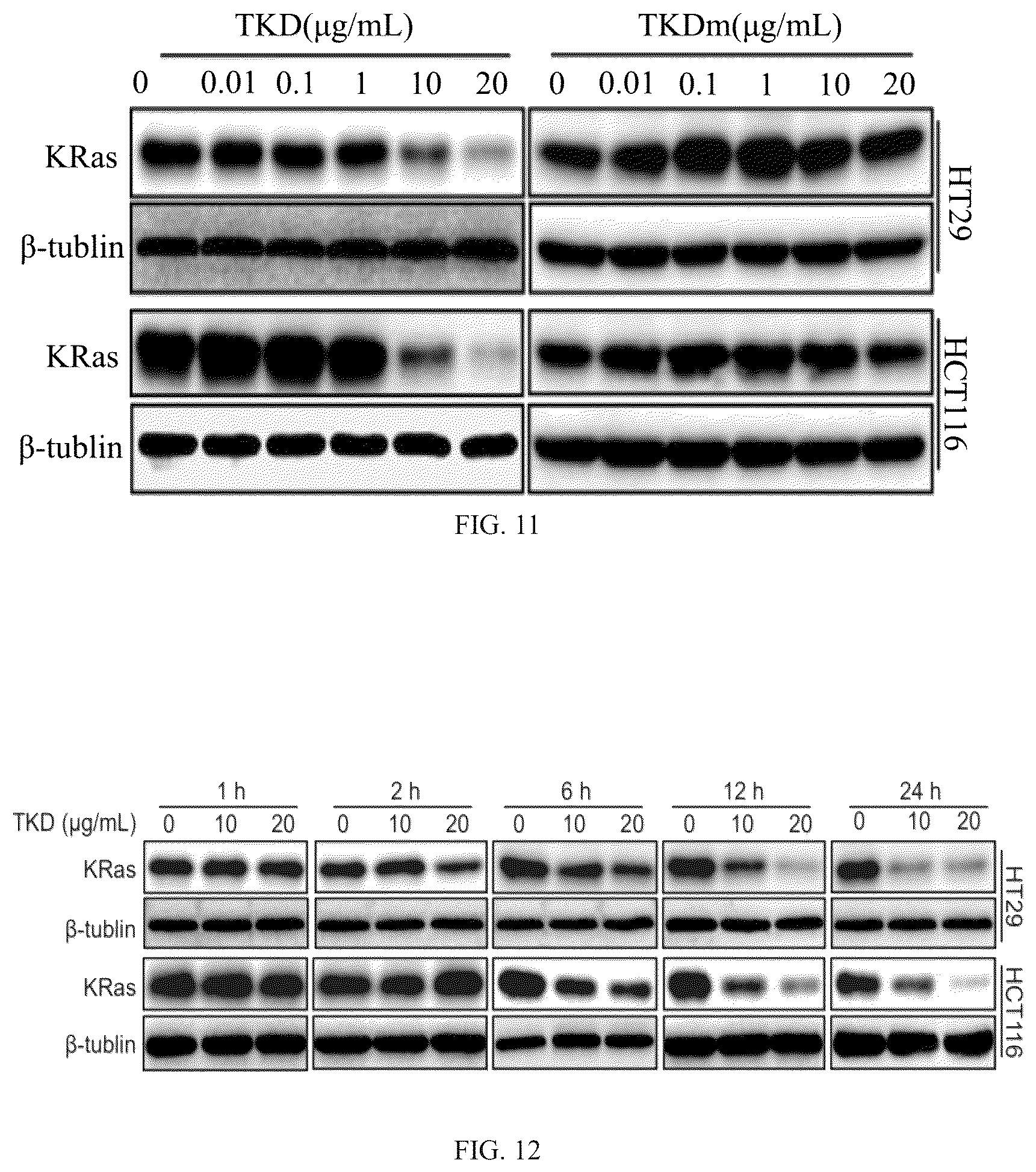 Patent US12508311 Figure 7 – Fusion protein, and preparation method and use thereof