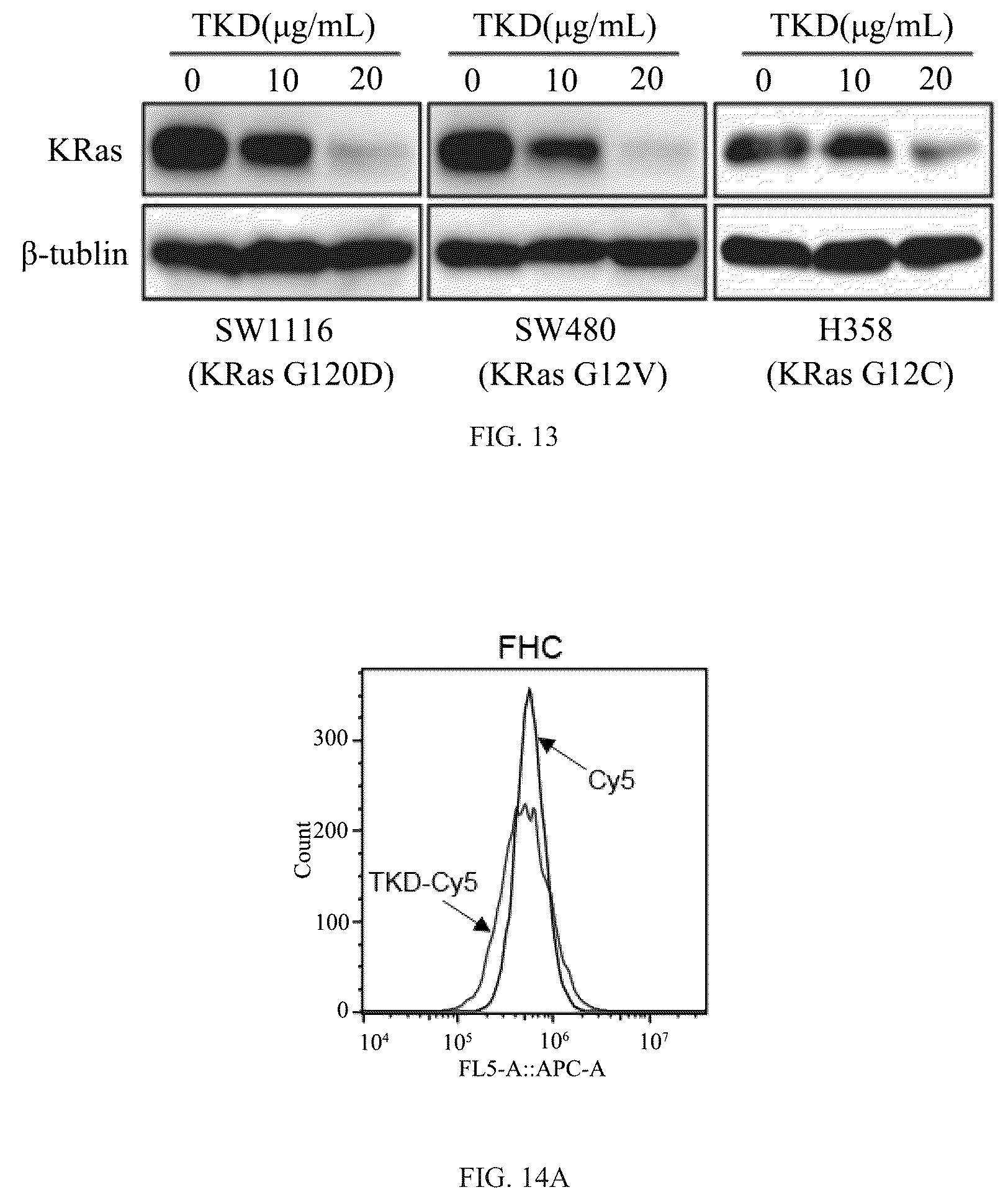 Patent US12508311 Figure 8 – Fusion protein, and preparation method and use thereof