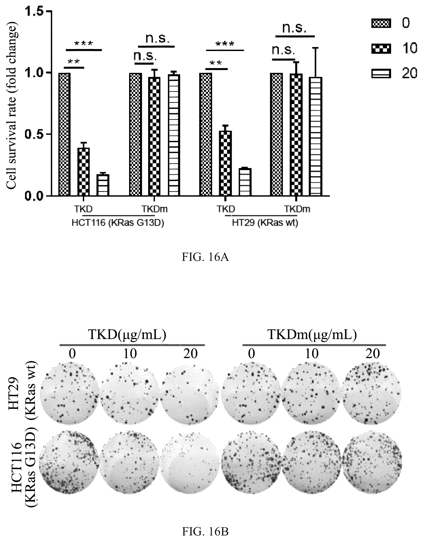 Patent US12508311 Figure 11 – Fusion protein, and preparation method and use thereof