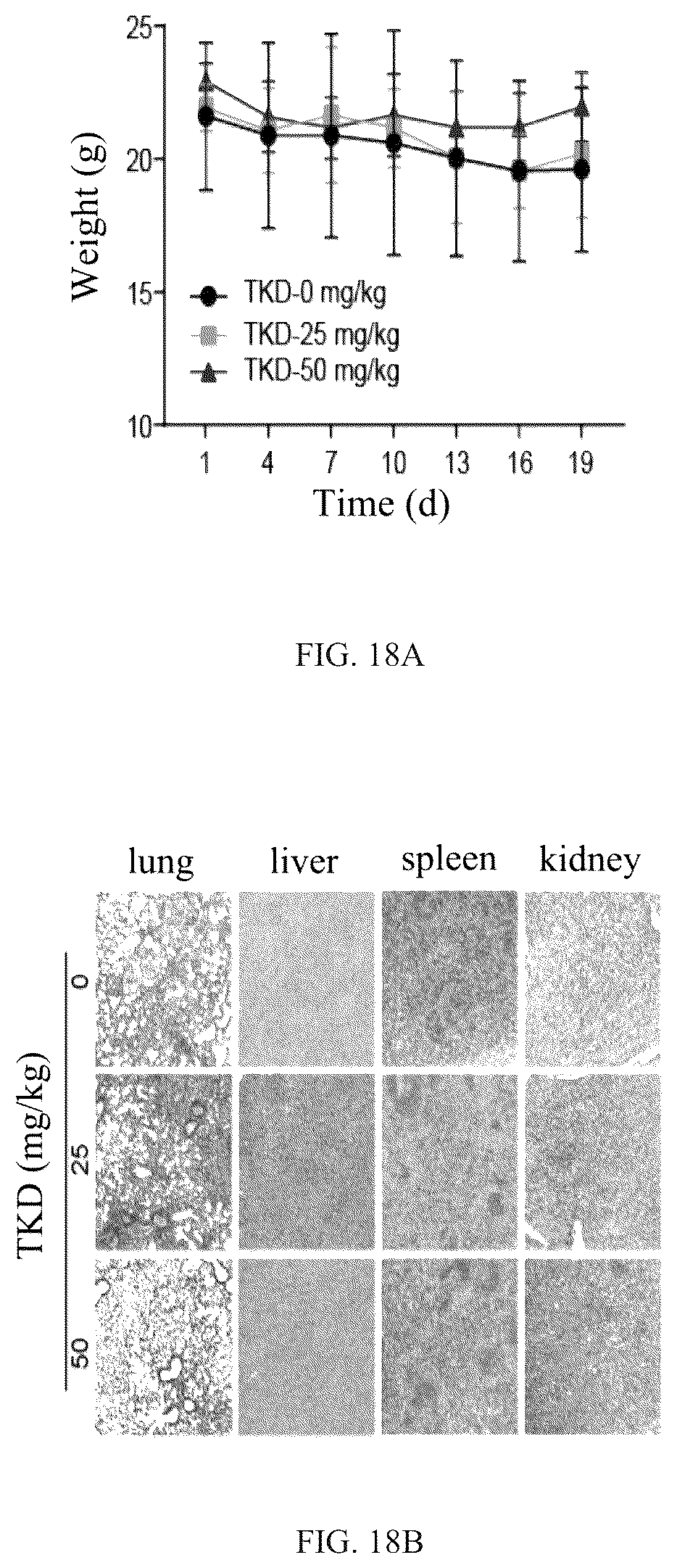 Patent US12508311 Figure 14 – Fusion protein, and preparation method and use thereof