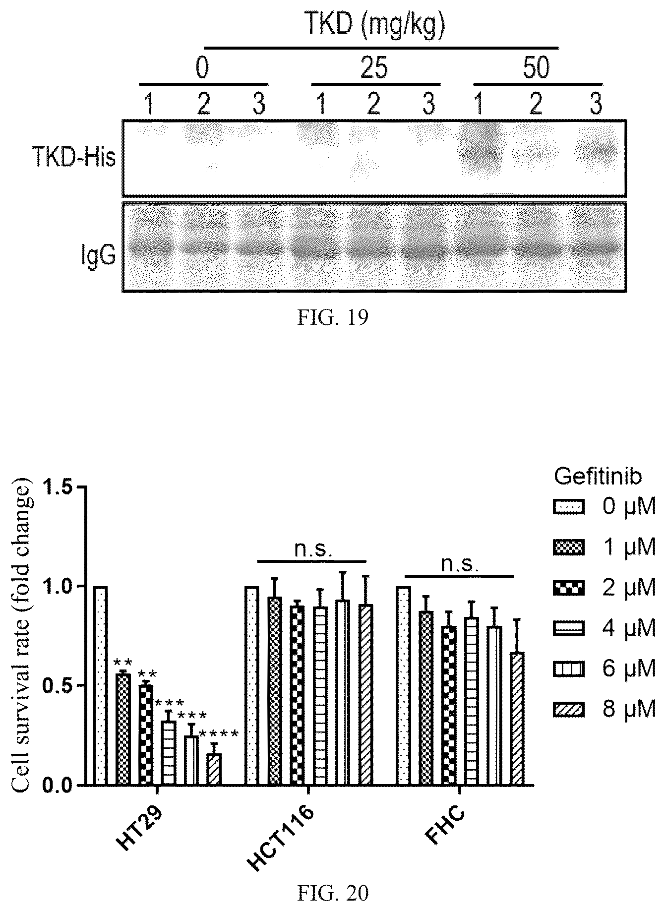 Patent US12508311 Figure 15 – Fusion protein, and preparation method and use thereof