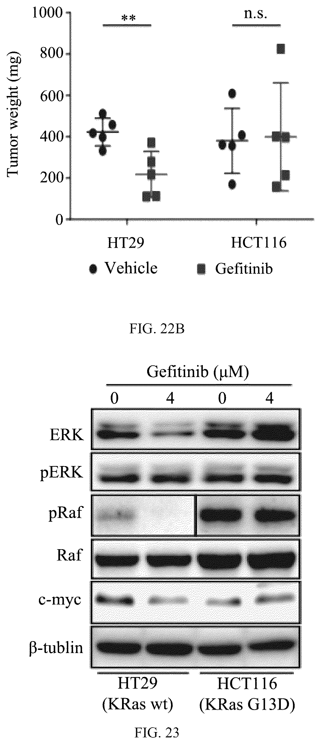 Patent US12508311 Figure 17 – Fusion protein, and preparation method and use thereof