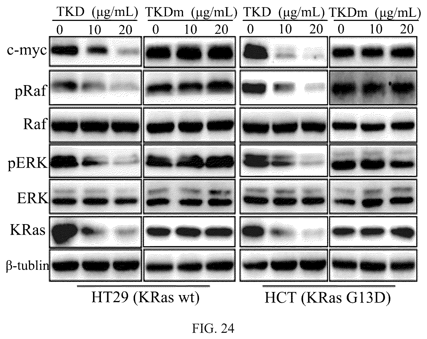 Patent US12508311 Figure 18 – Fusion protein, and preparation method and use thereof
