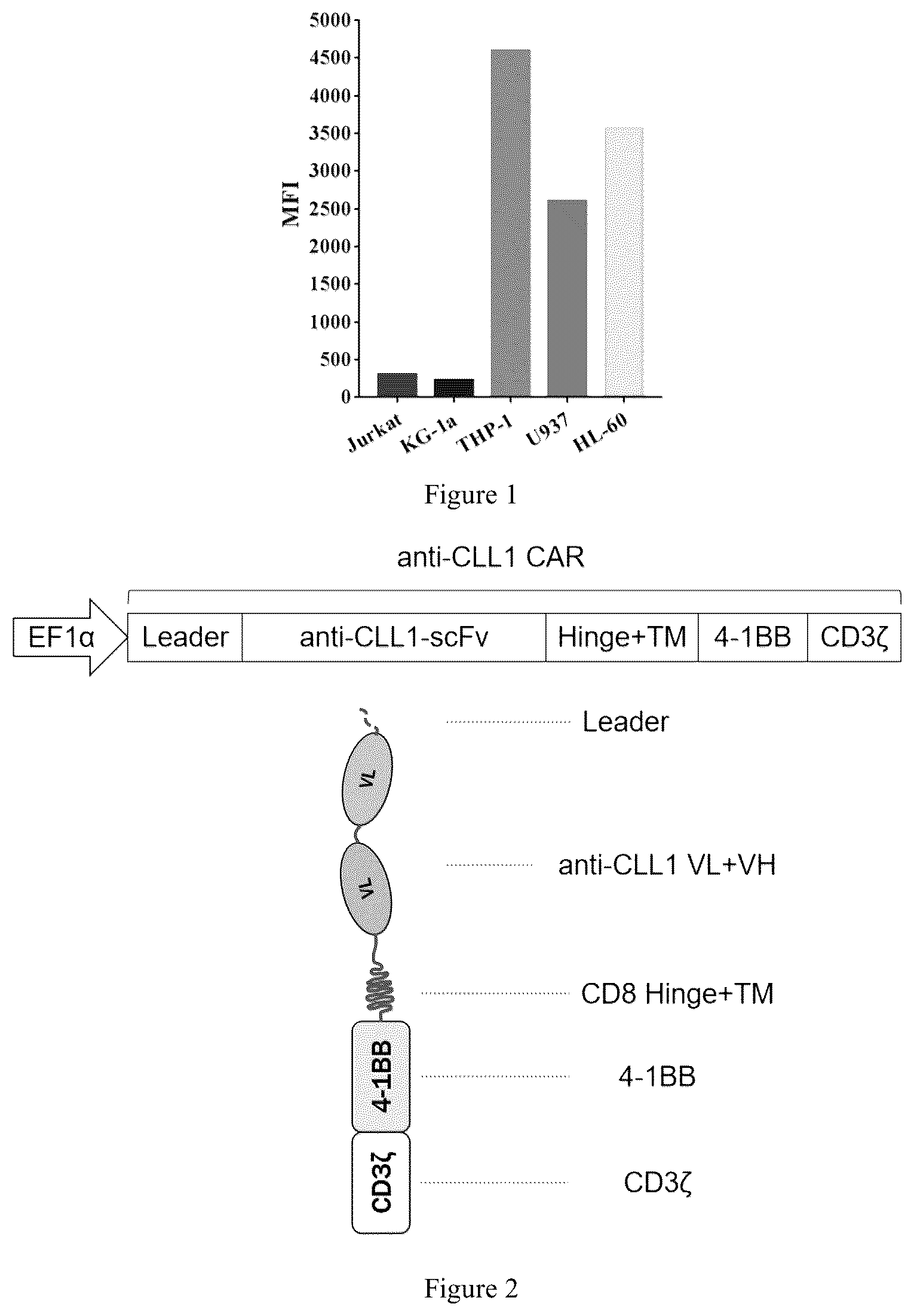 Patent US12508312 Figure 1 – Chimeric antigen receptor targeting CLL1 and use thereof