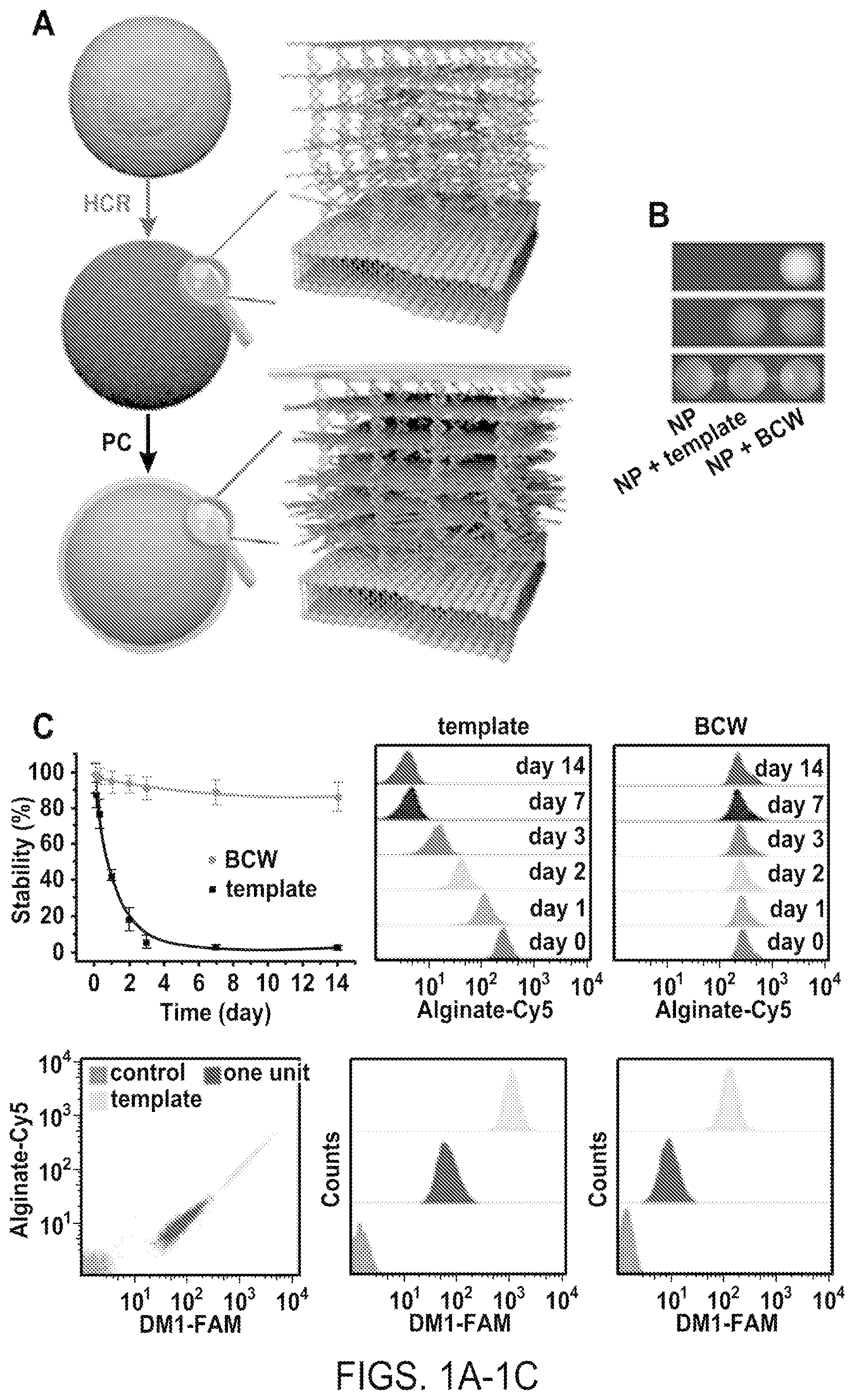 Patent US12508316 Figure 1 – Synthesis of biomimetic cell wall structure