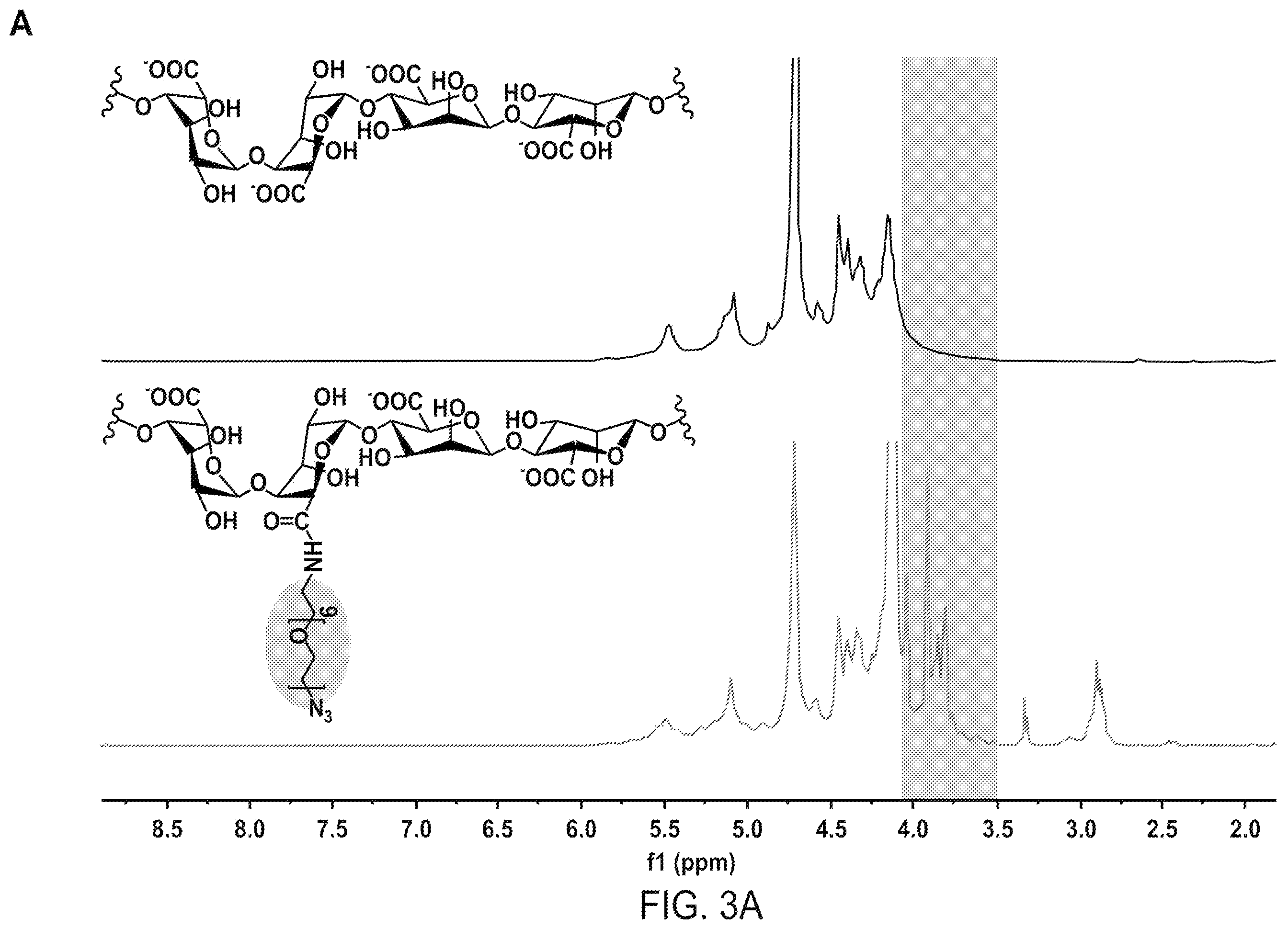 Patent US12508316 Figure 4 – Synthesis of biomimetic cell wall structure