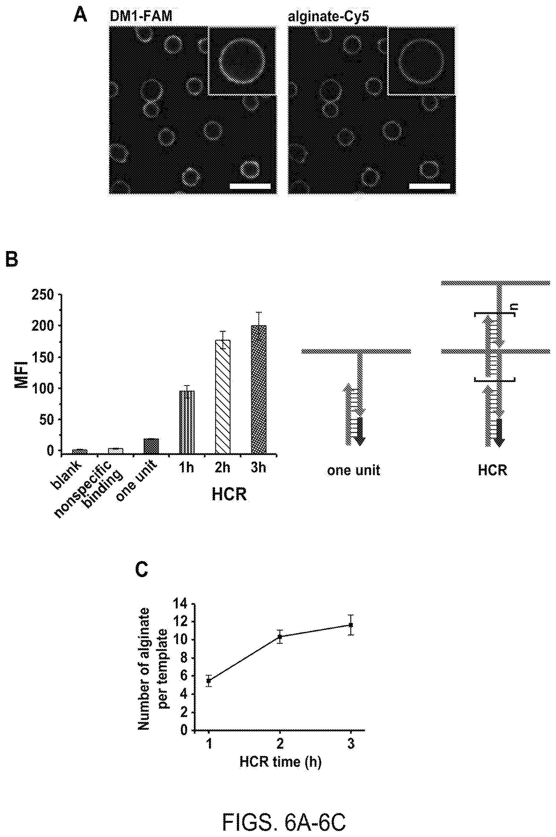 Patent US12508316 Figure 7 – Synthesis of biomimetic cell wall structure