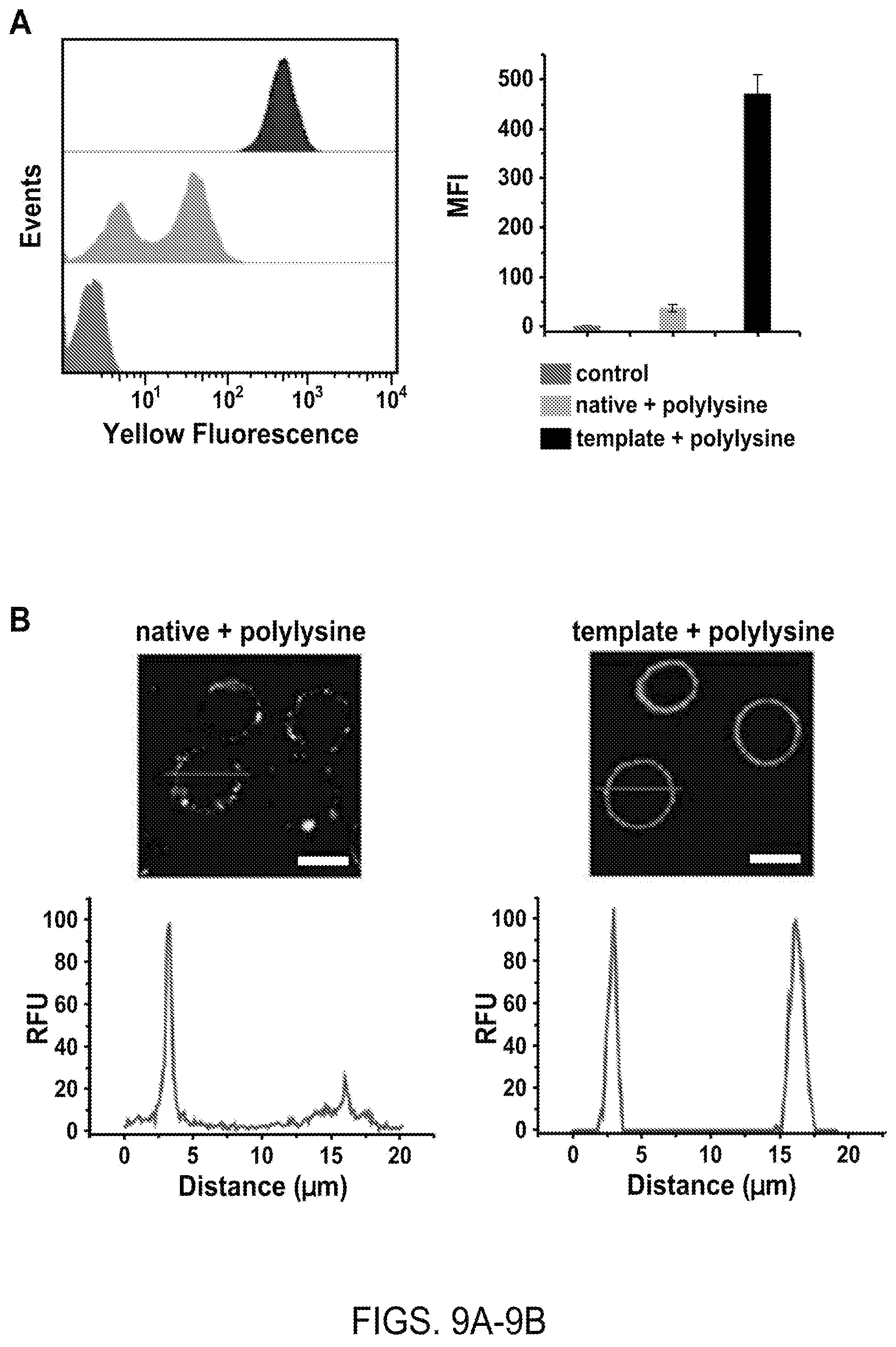 Patent US12508316 Figure 11 – Synthesis of biomimetic cell wall structure