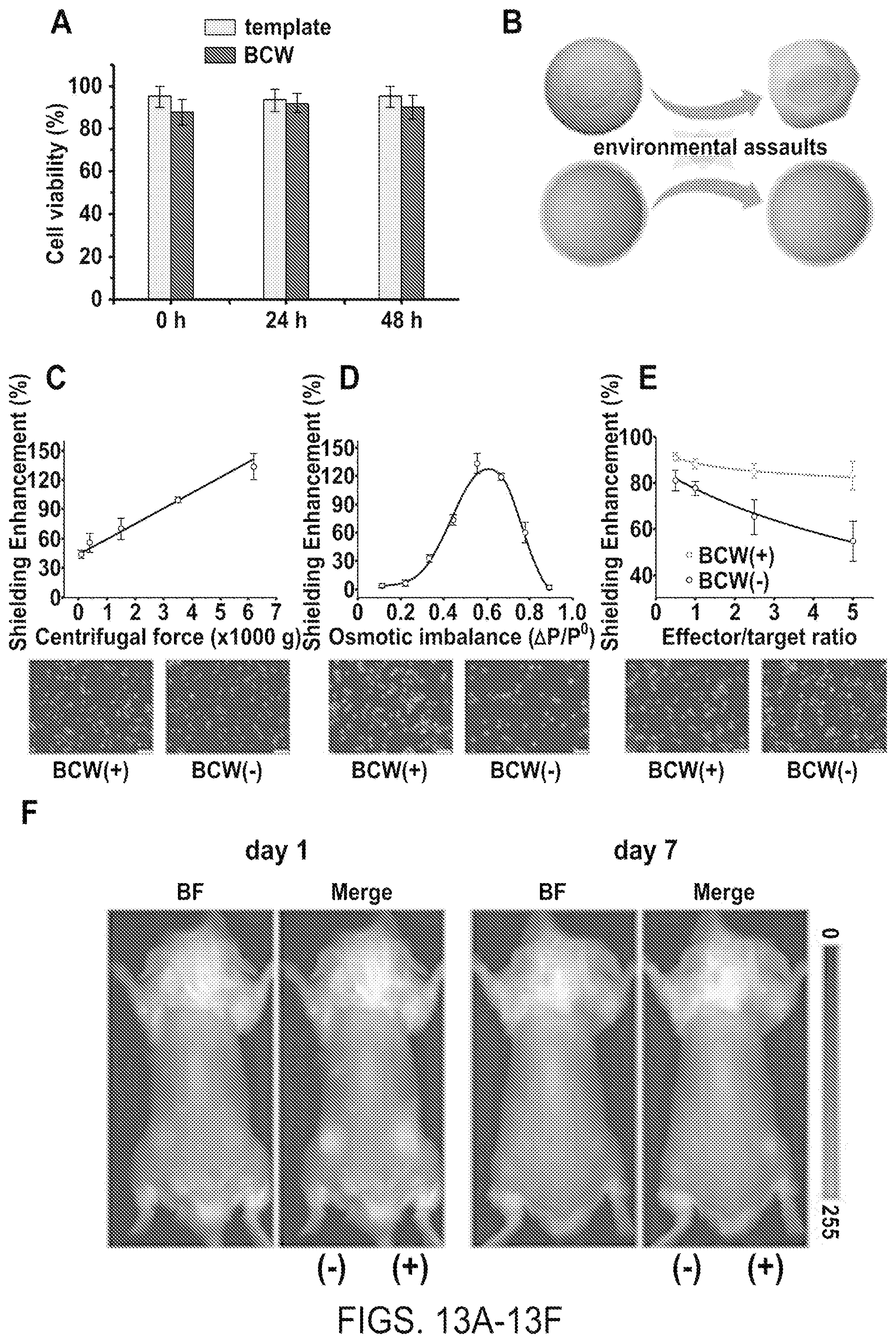 Patent US12508316 Figure 14 – Synthesis of biomimetic cell wall structure