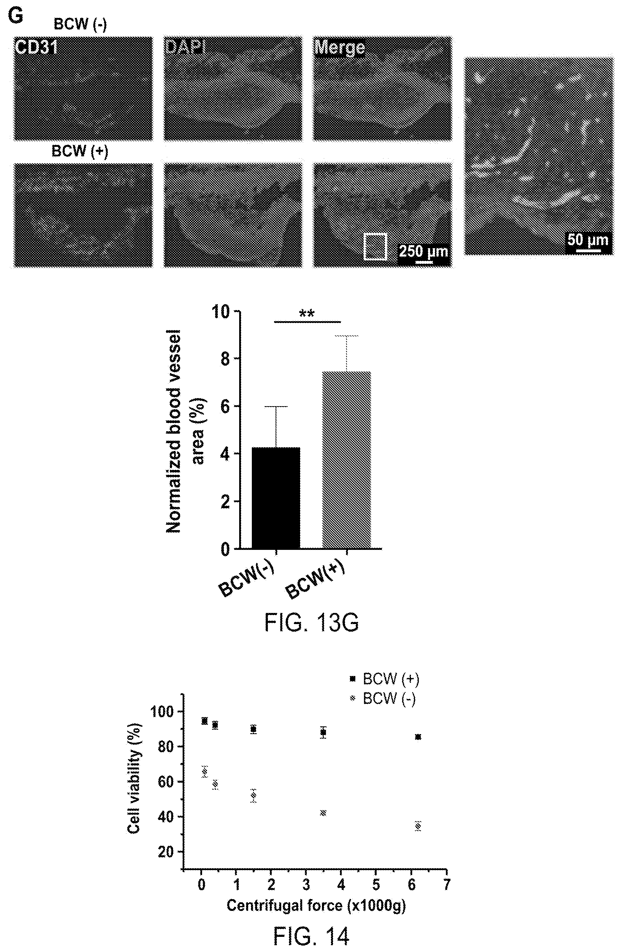 Patent US12508316 Figure 15 – Synthesis of biomimetic cell wall structure