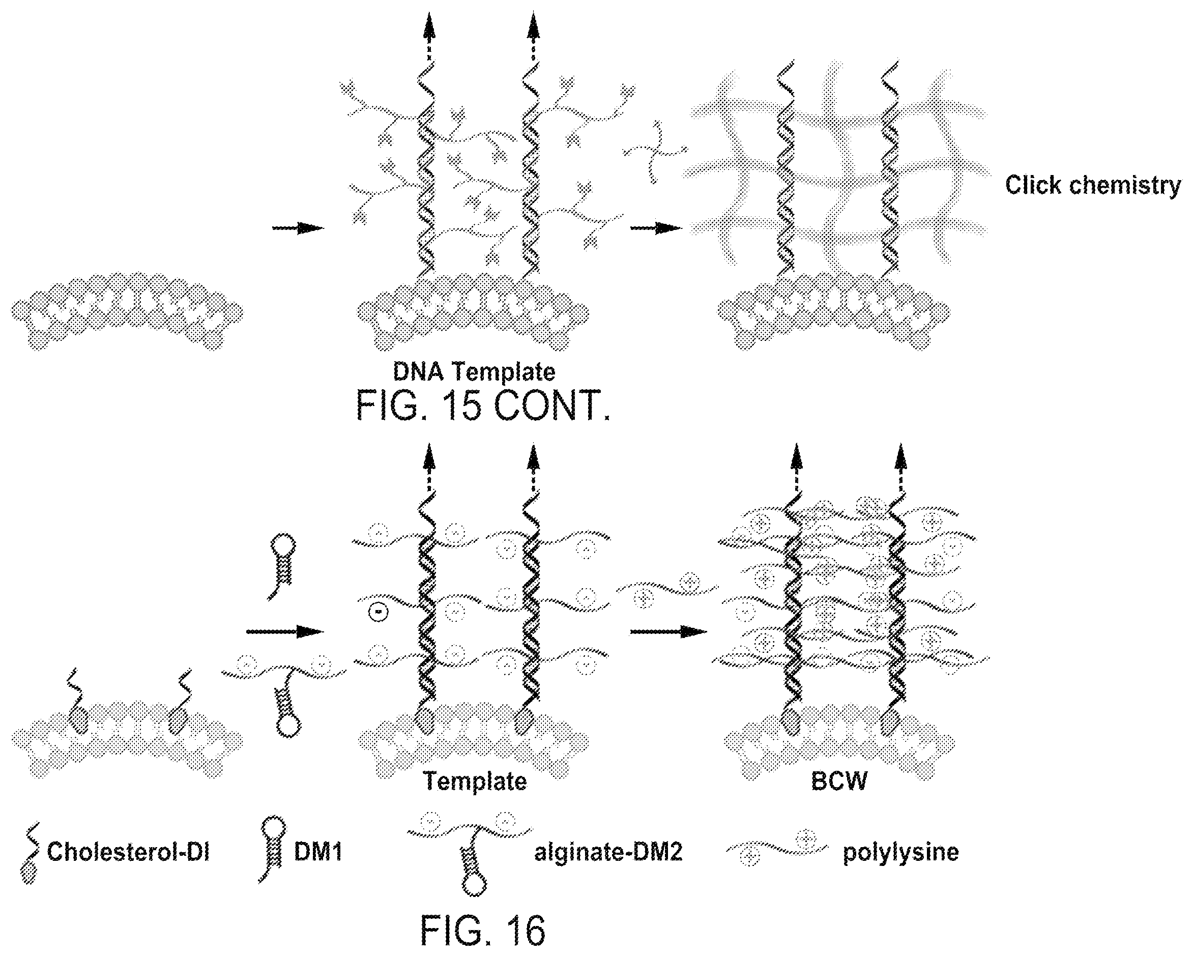 Patent US12508316 Figure 17 – Synthesis of biomimetic cell wall structure