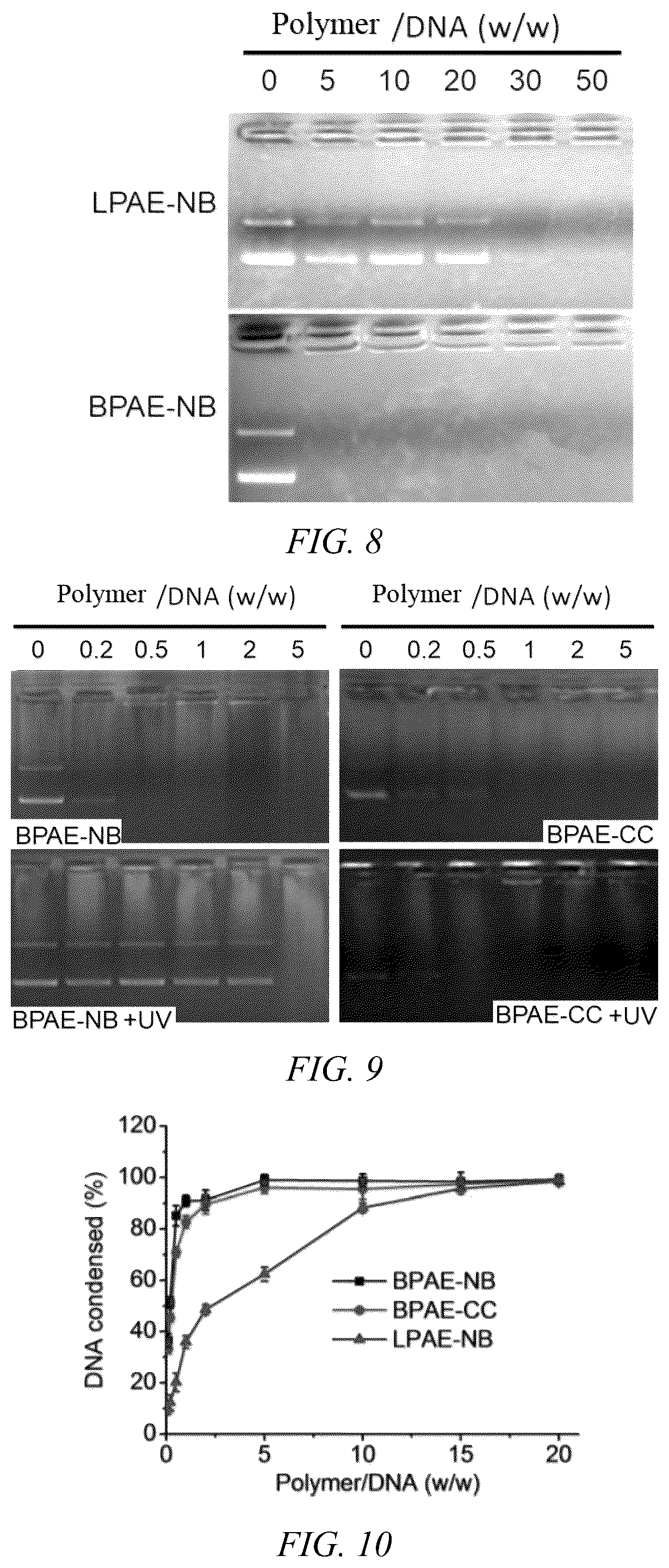 Patent US12508318 Figure 4 – UV light-responsive hyperbranched poly-β-amino ester having high-efficiency gene delivery ability and preparation method and application thereof