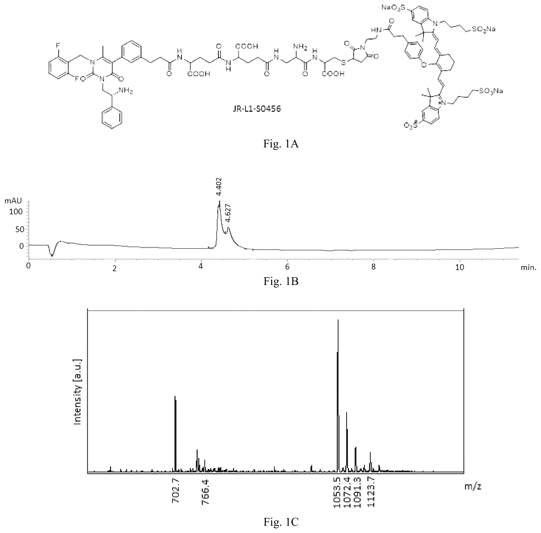 Patent US12508319 Figure 1 – Luteinizing hormone-releasing hormone receptor (LHRH-R) conjugates and uses thereof