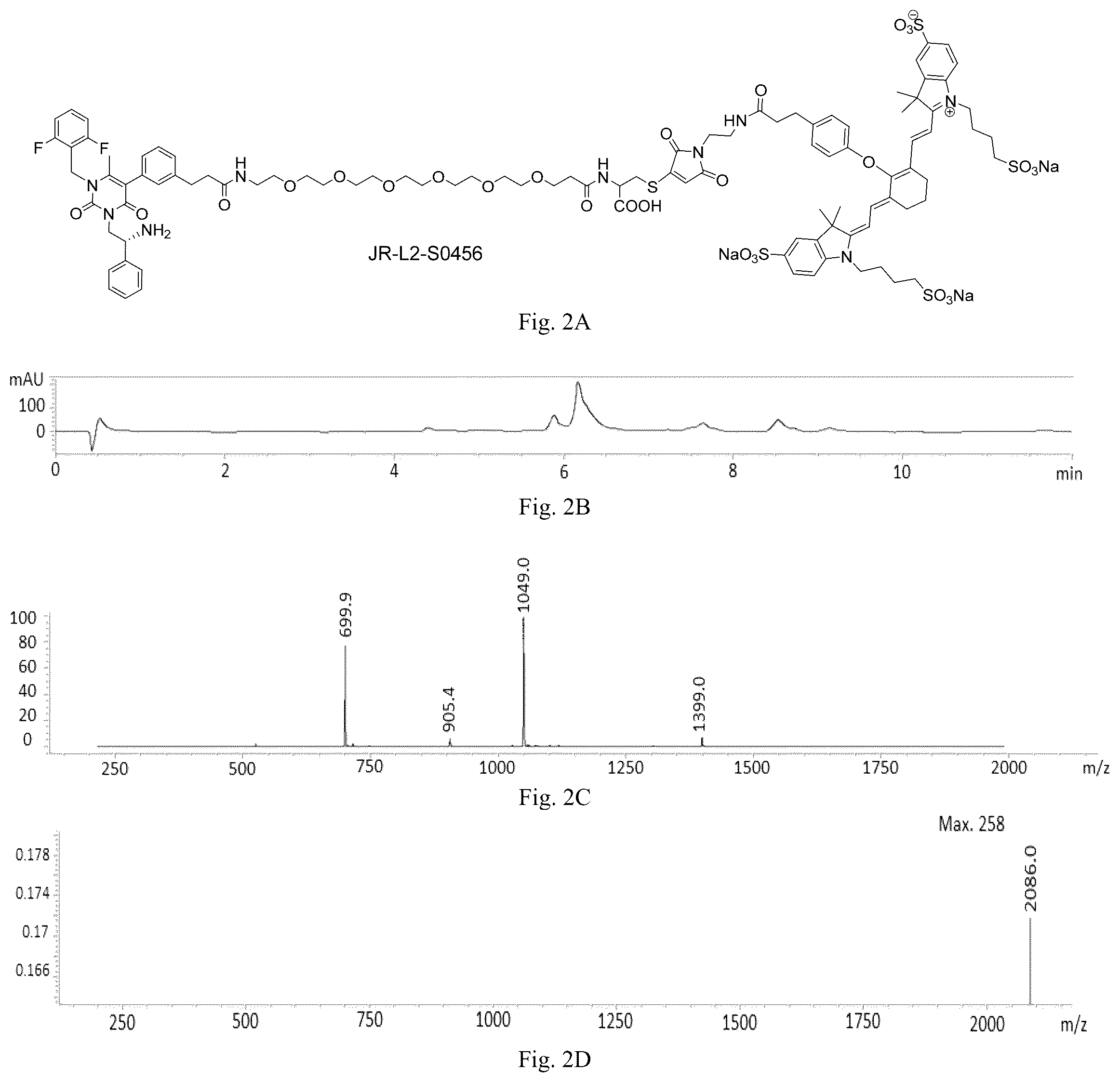 Patent US12508319 Figure 2 – Luteinizing hormone-releasing hormone receptor (LHRH-R) conjugates and uses thereof