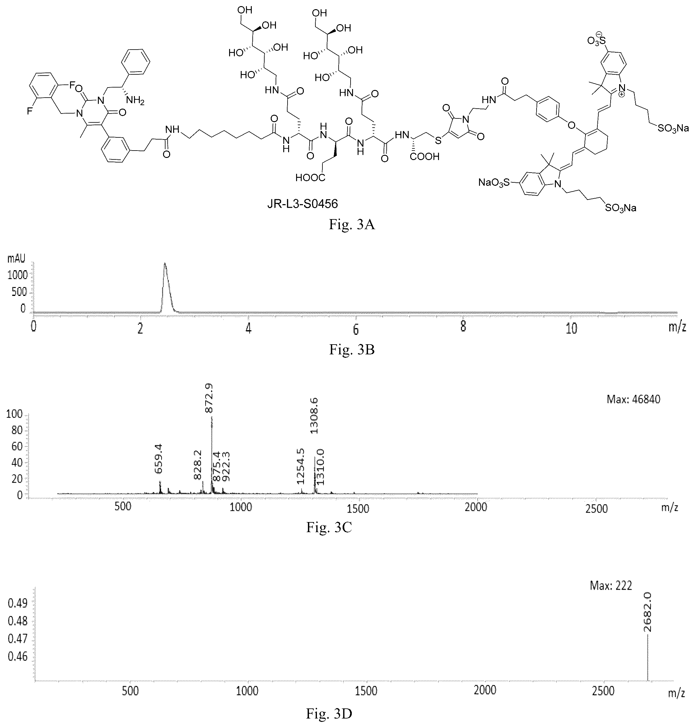 Patent US12508319 Figure 3 – Luteinizing hormone-releasing hormone receptor (LHRH-R) conjugates and uses thereof