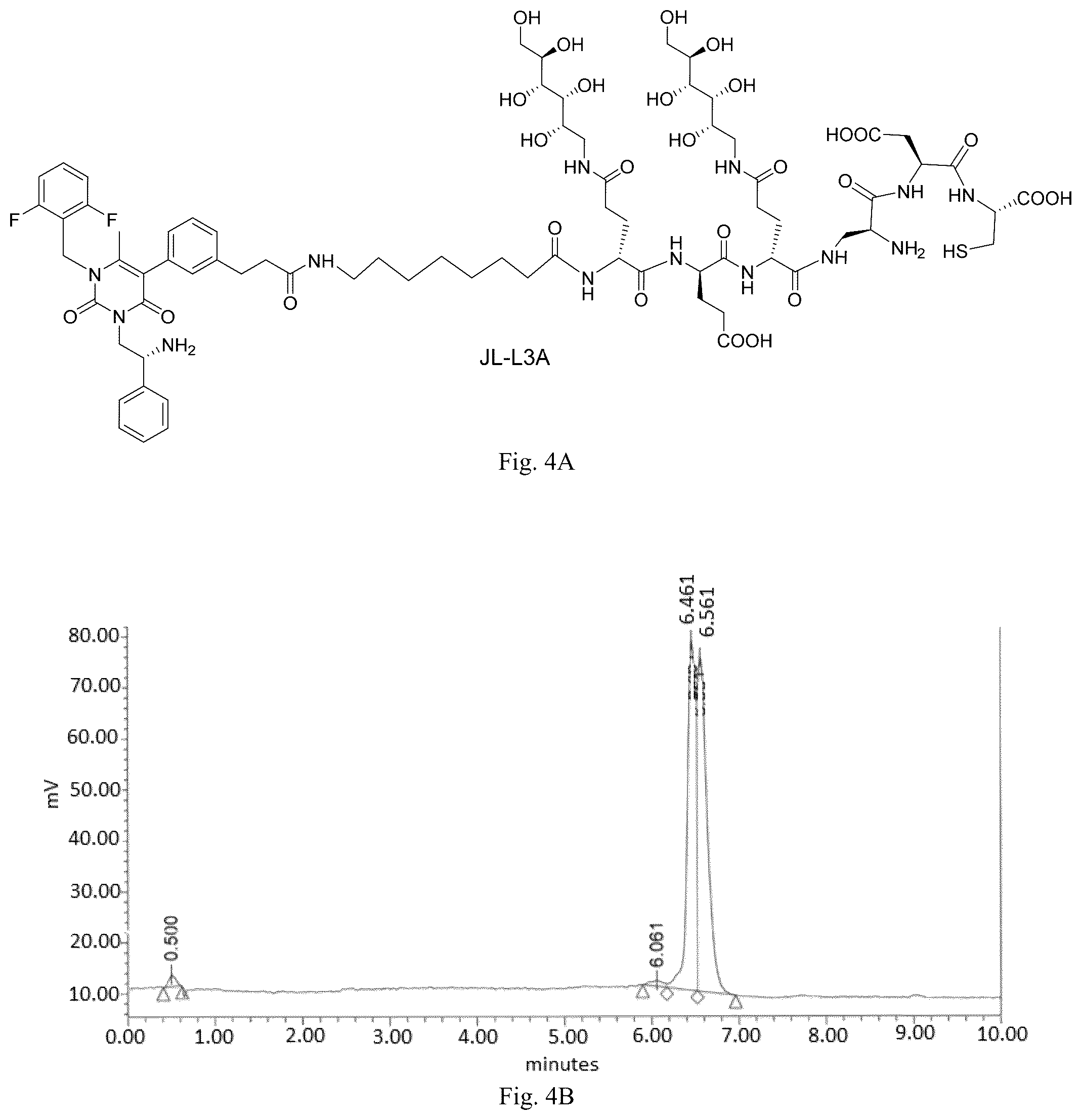 Patent US12508319 Figure 4 – Luteinizing hormone-releasing hormone receptor (LHRH-R) conjugates and uses thereof