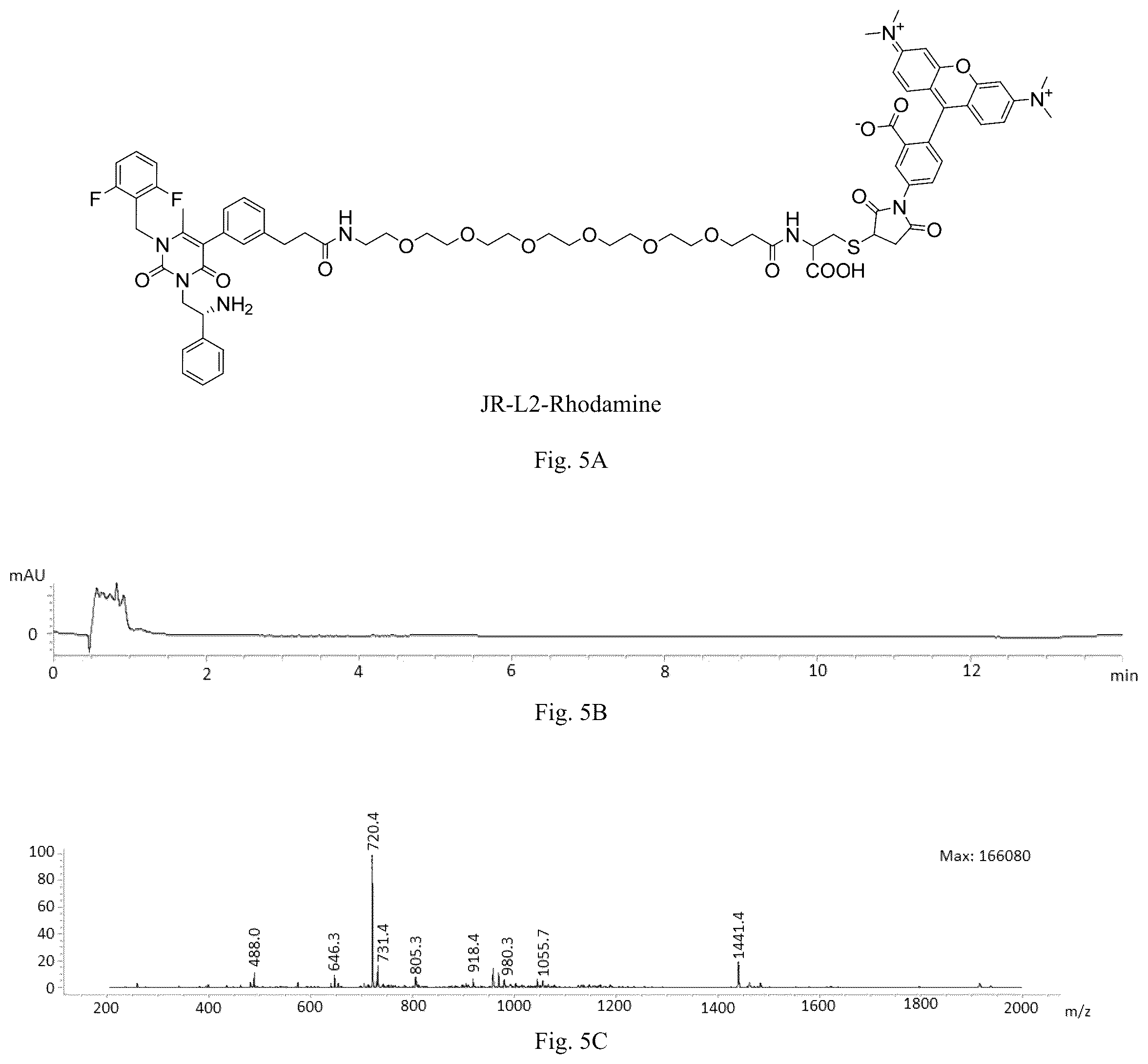 Patent US12508319 Figure 5 – Luteinizing hormone-releasing hormone receptor (LHRH-R) conjugates and uses thereof