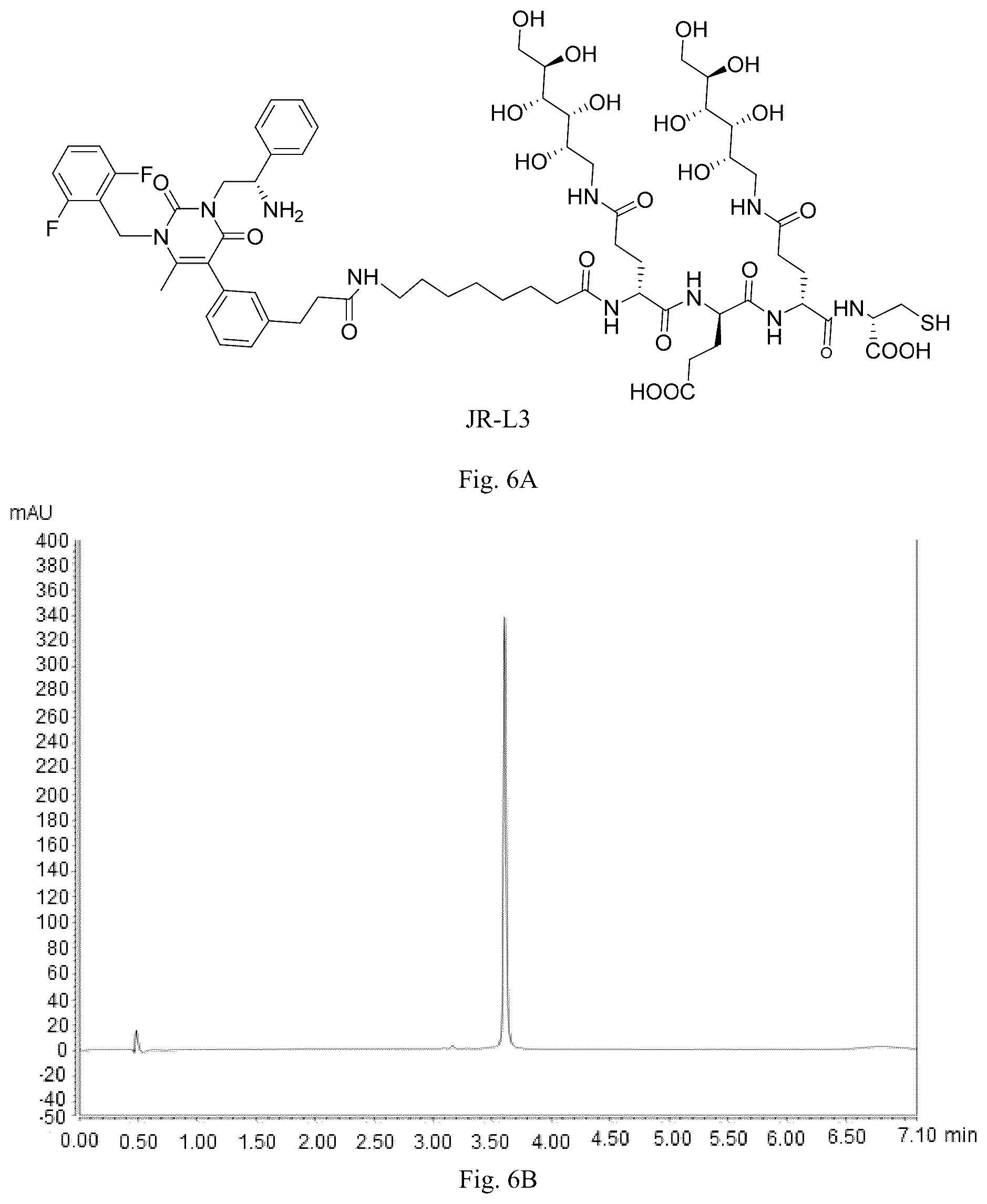 Patent US12508319 Figure 6 – Luteinizing hormone-releasing hormone receptor (LHRH-R) conjugates and uses thereof