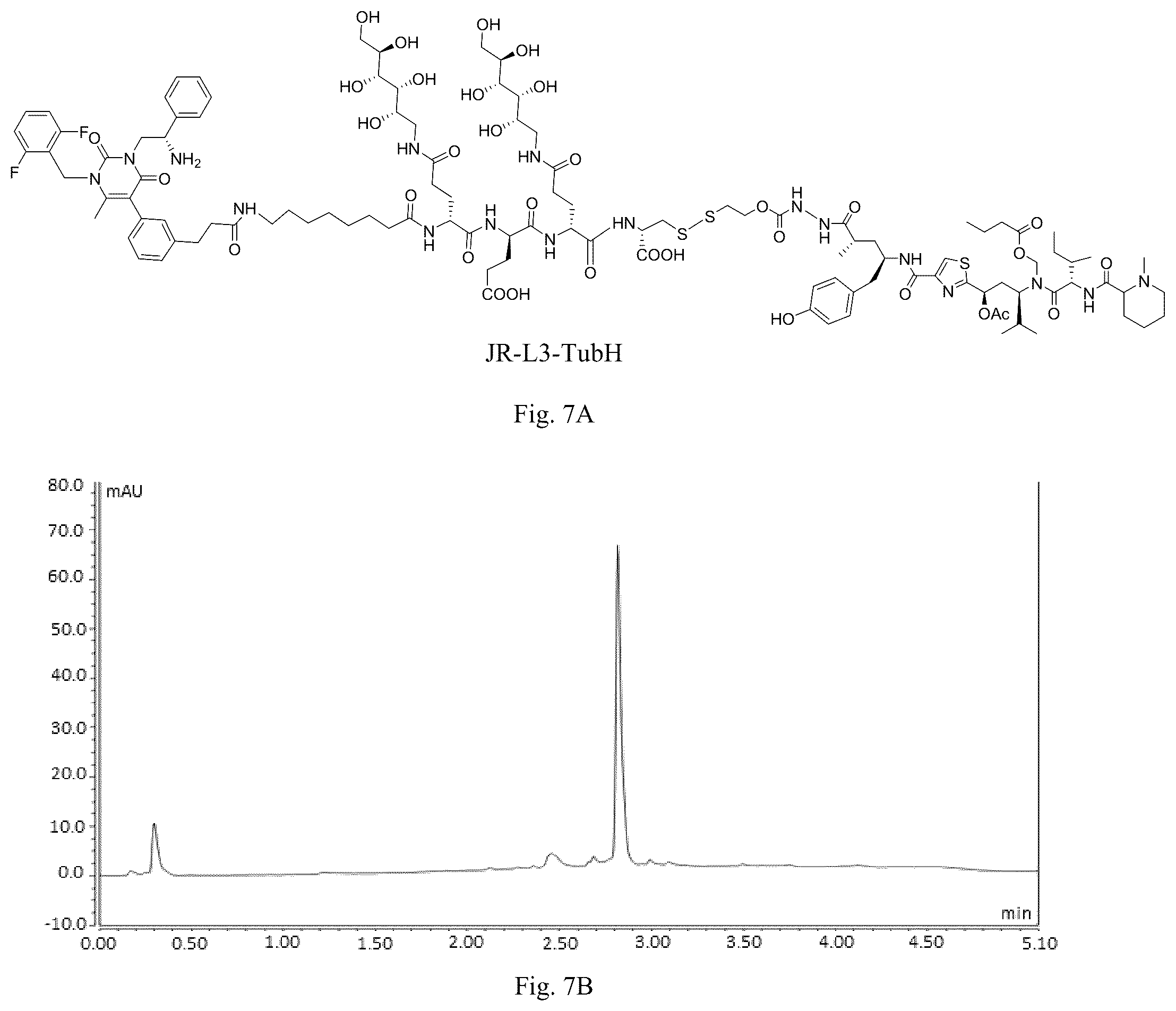 Patent US12508319 Figure 8 – Luteinizing hormone-releasing hormone receptor (LHRH-R) conjugates and uses thereof