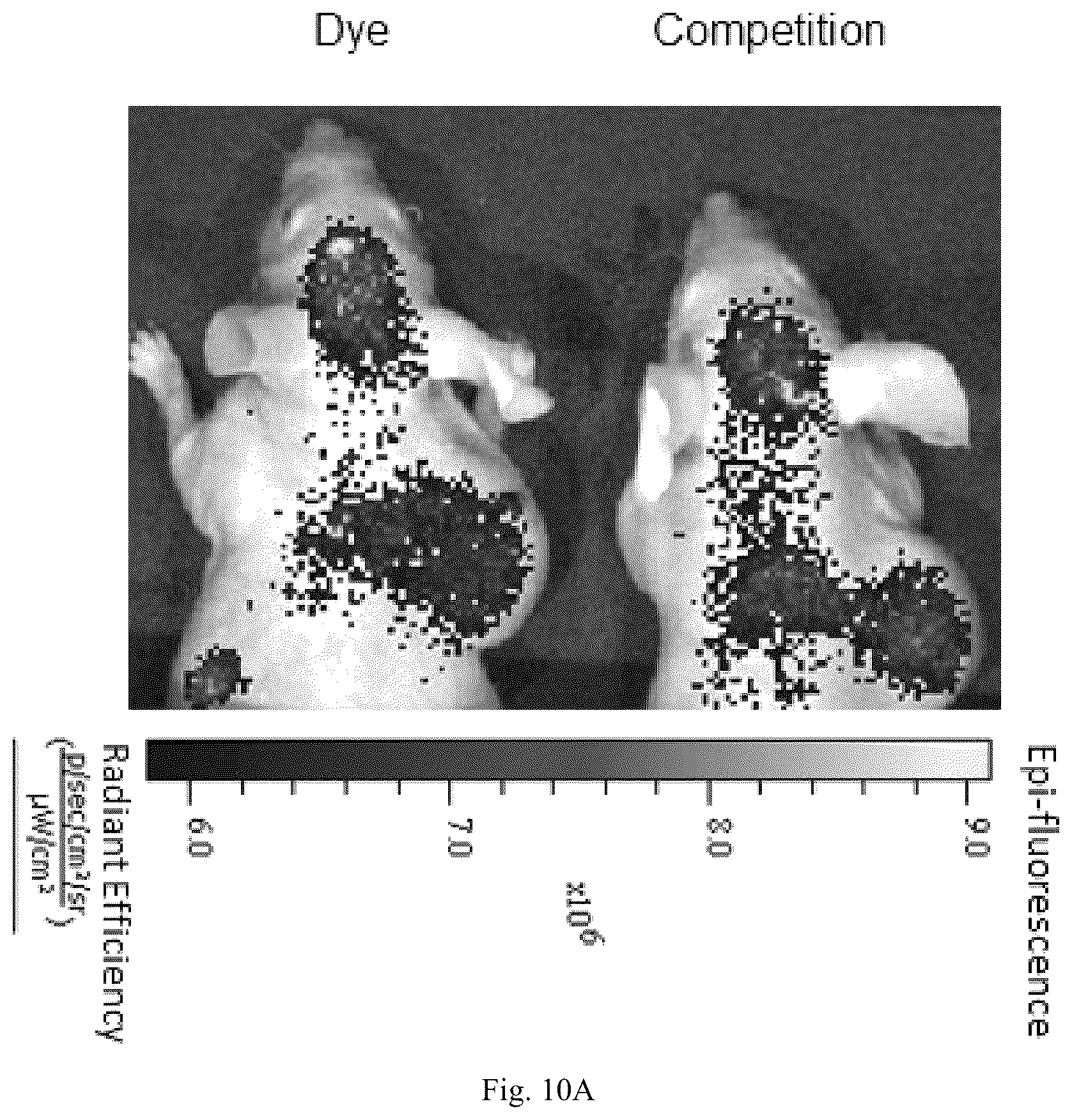 Patent US12508319 Figure 12 – Luteinizing hormone-releasing hormone receptor (LHRH-R) conjugates and uses thereof
