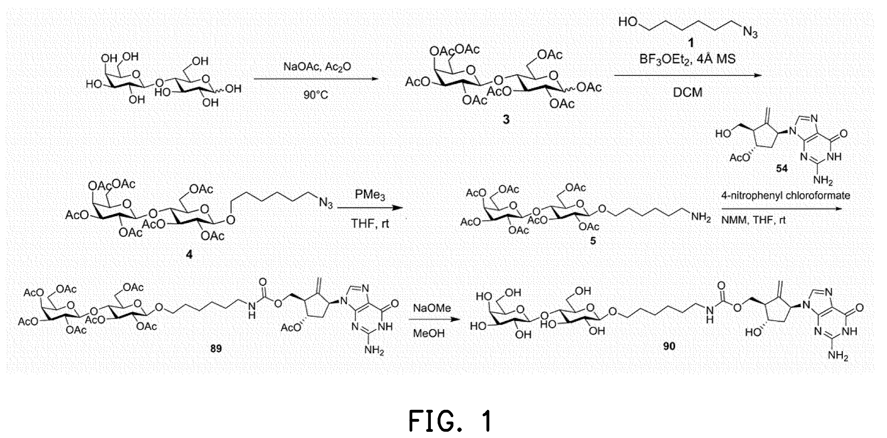 Patent US12508320 Figure 1 – Drug conjugate, pharmaceutical composition and method of treating hepatitis