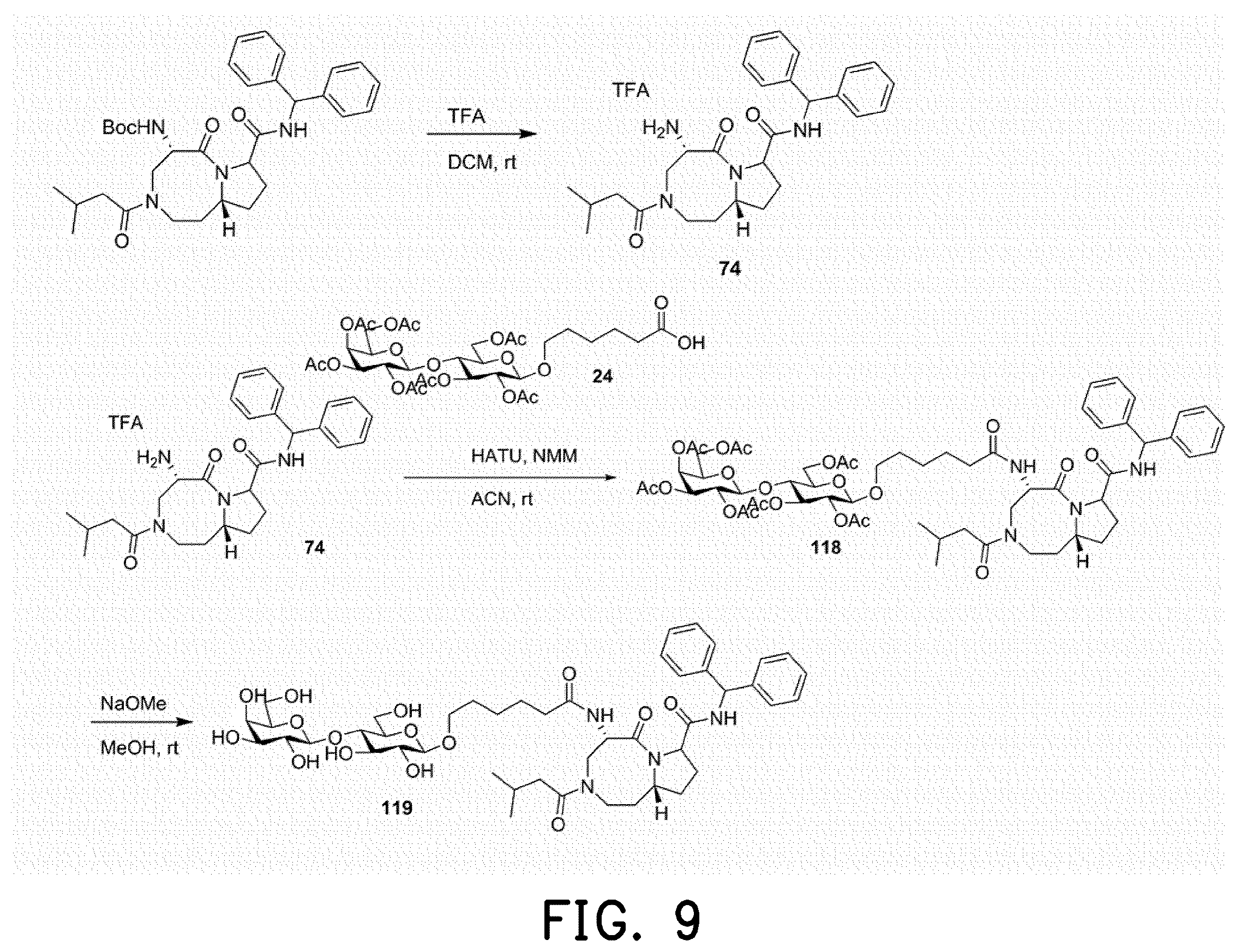 Patent US12508320 Figure 9 – Drug conjugate, pharmaceutical composition and method of treating hepatitis