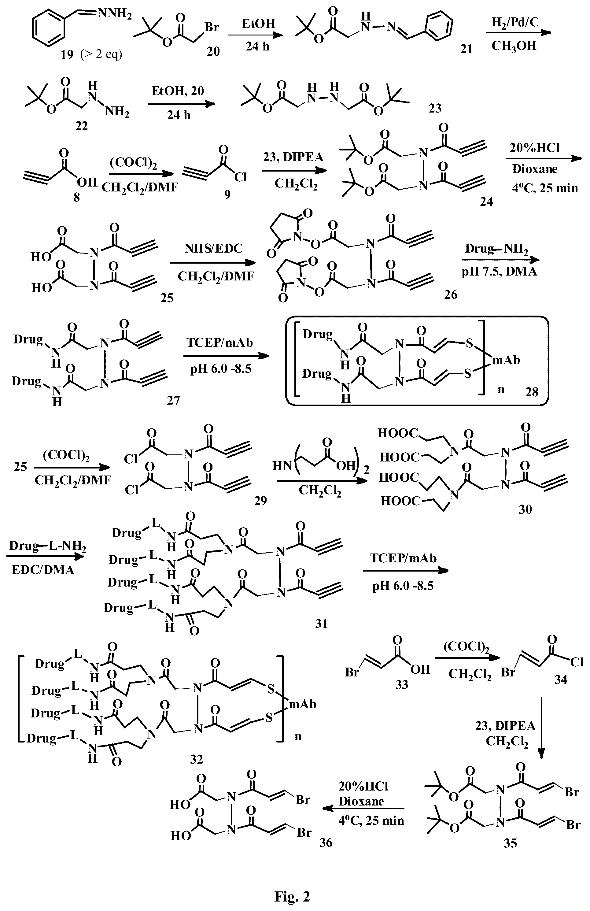 Patent US12508321 Figure 2 – Conjugation linkers, cell binding molecule-drug conjugates containing the linkers, methods of making and uses such conjugates with the linkers