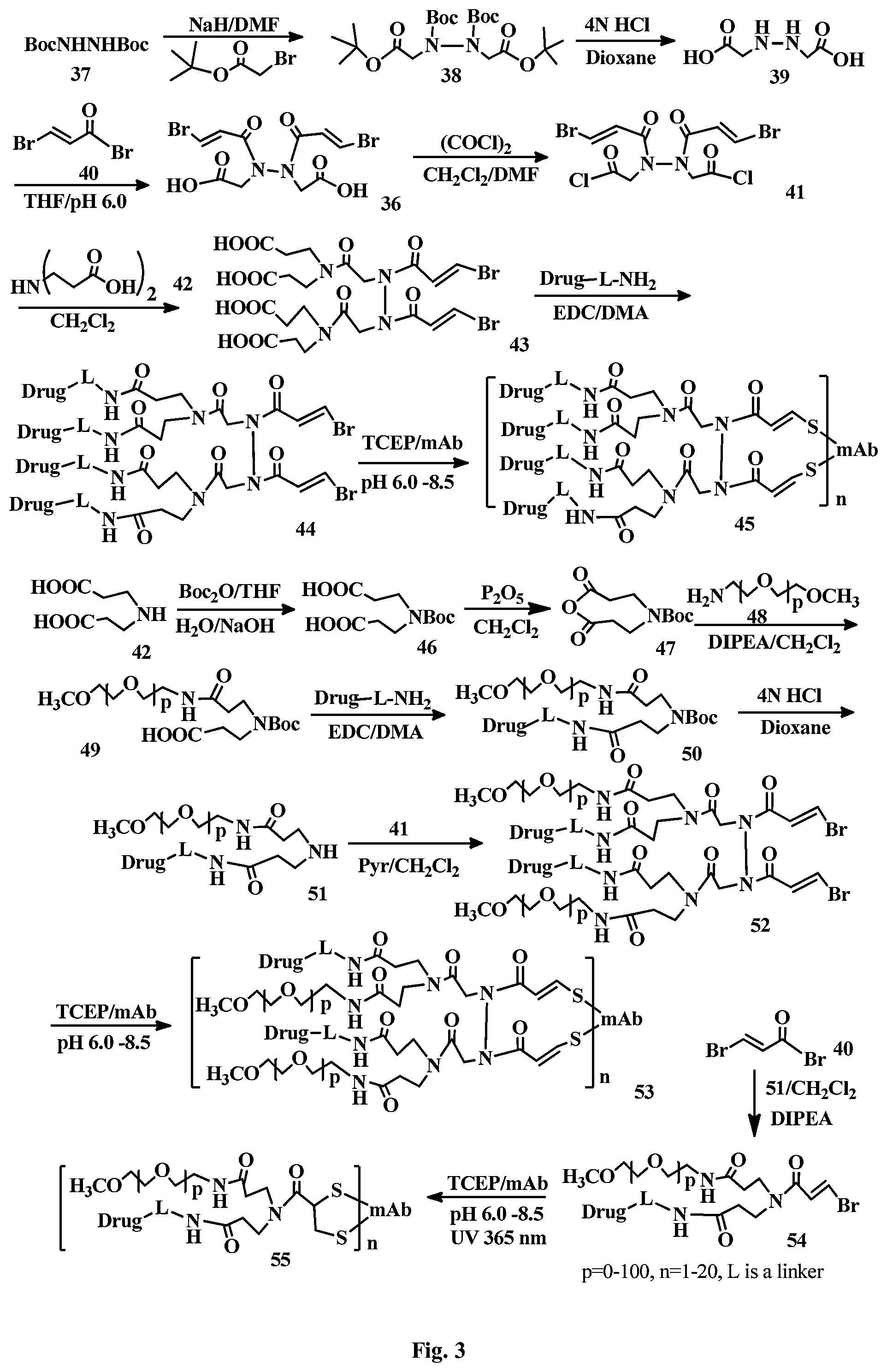Patent US12508321 Figure 3 – Conjugation linkers, cell binding molecule-drug conjugates containing the linkers, methods of making and uses such conjugates with the linkers