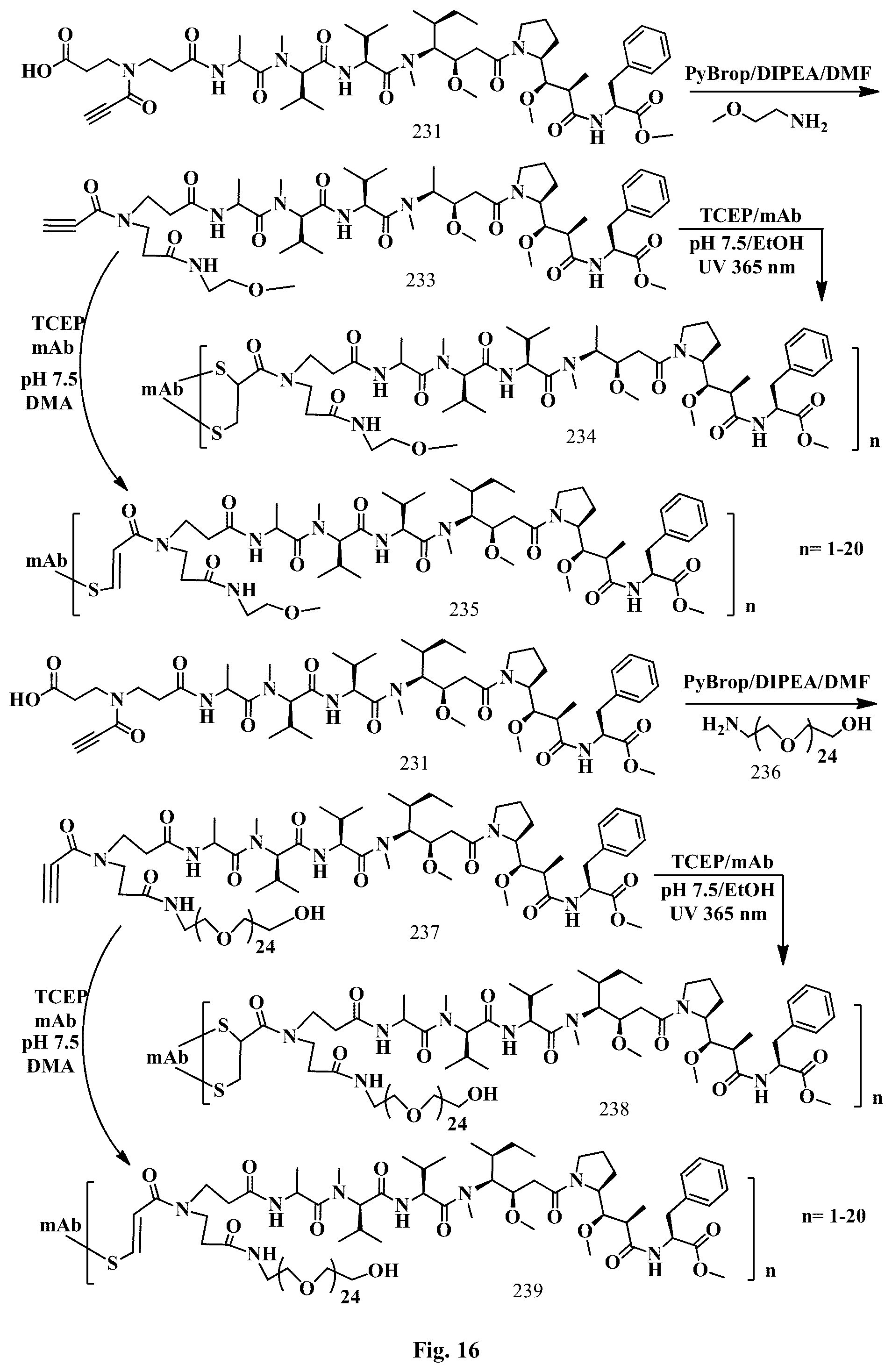 Patent US12508321 Figure 16 – Conjugation linkers, cell binding molecule-drug conjugates containing the linkers, methods of making and uses such conjugates with the linkers