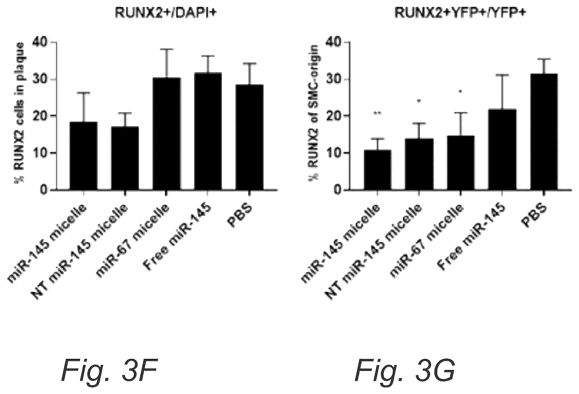 Patent US12508322 Figure 6 – MIR-145 micelles for mitigating atherosclerosis