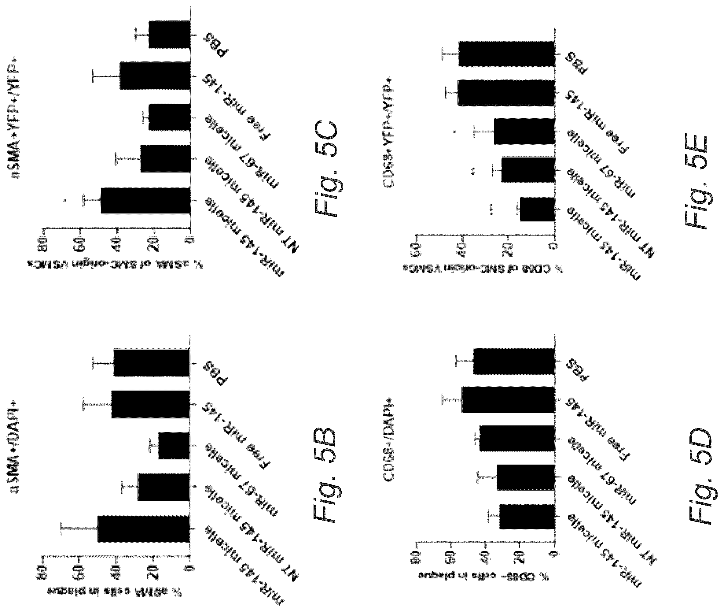 Patent US12508322 Figure 10 – MIR-145 micelles for mitigating atherosclerosis