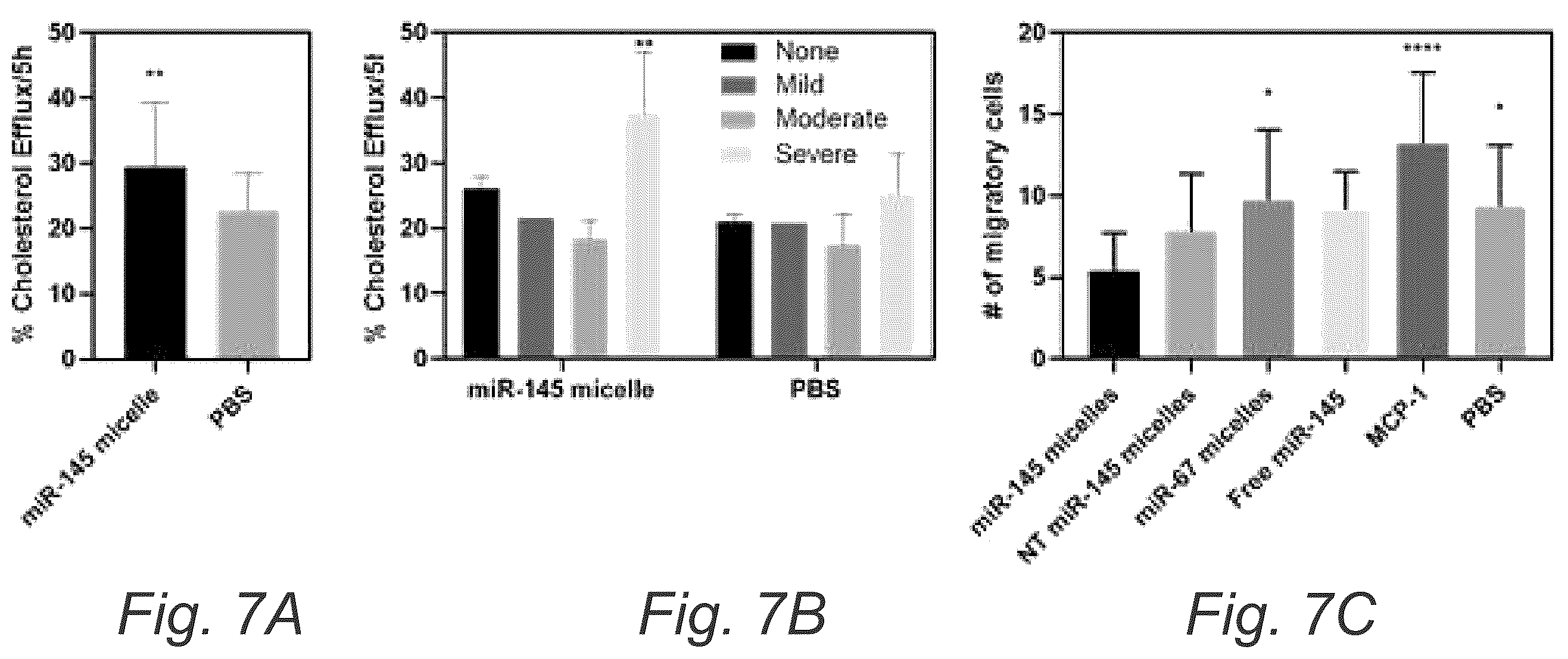 Patent US12508322 Figure 13 – MIR-145 micelles for mitigating atherosclerosis