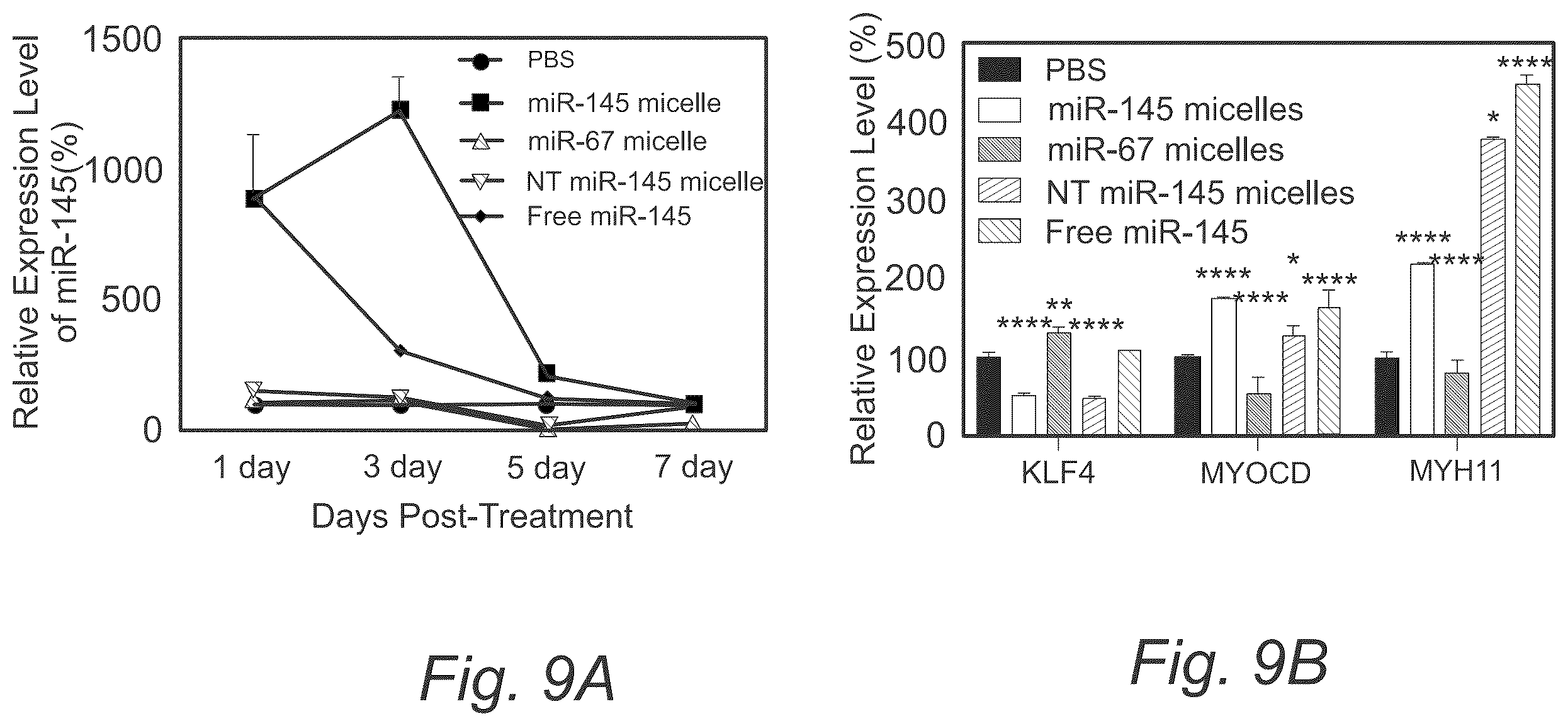 Patent US12508322 Figure 15 – MIR-145 micelles for mitigating atherosclerosis