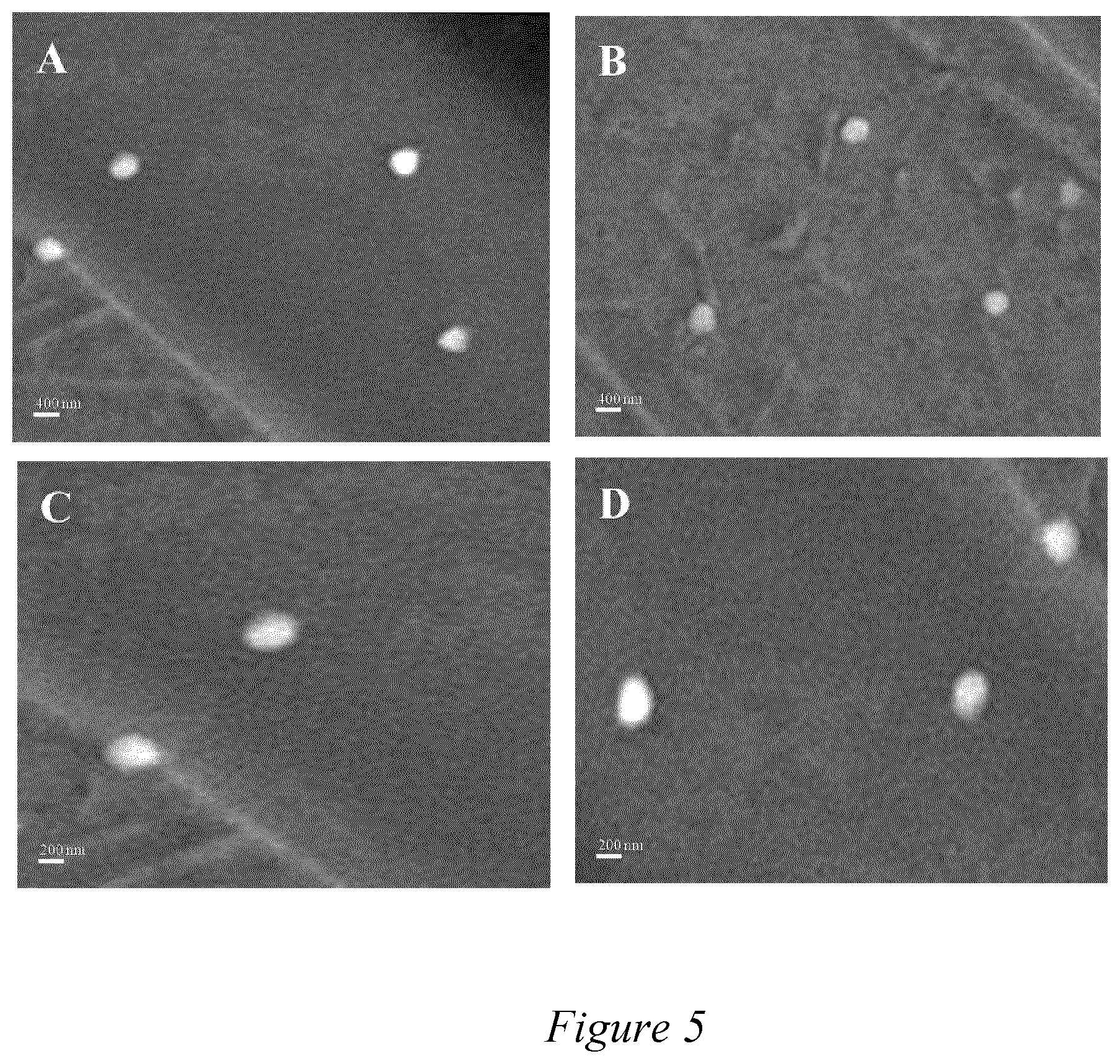 Patent US12508324 Figure 4 – Amphiphilic alginate-oleic acid macromolecules and process for preparation thereof
