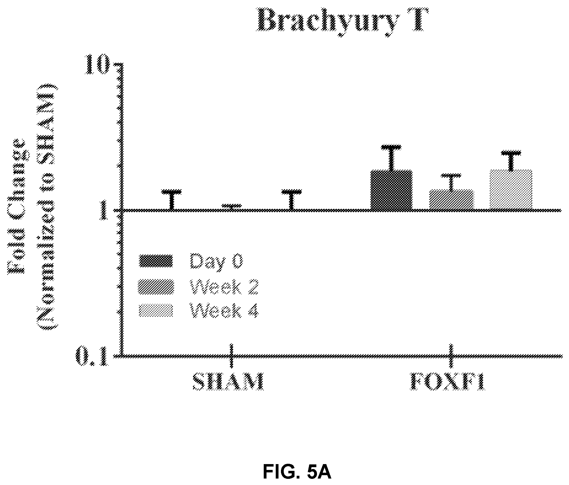 Patent US12508325 Figure 6 – Compositions and methods for reprogramming diseased musculoskeletal cells