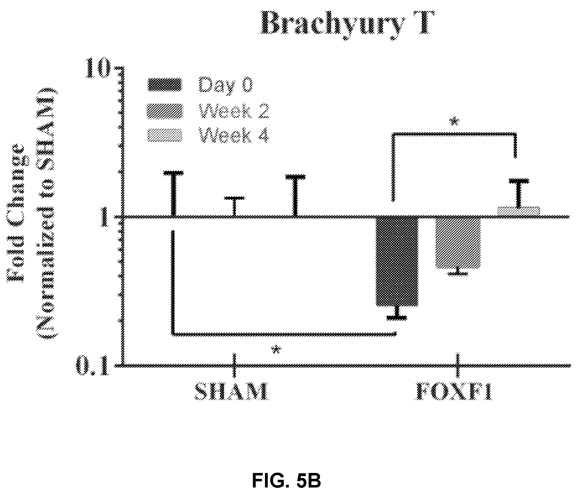 Patent US12508325 Figure 7 – Compositions and methods for reprogramming diseased musculoskeletal cells