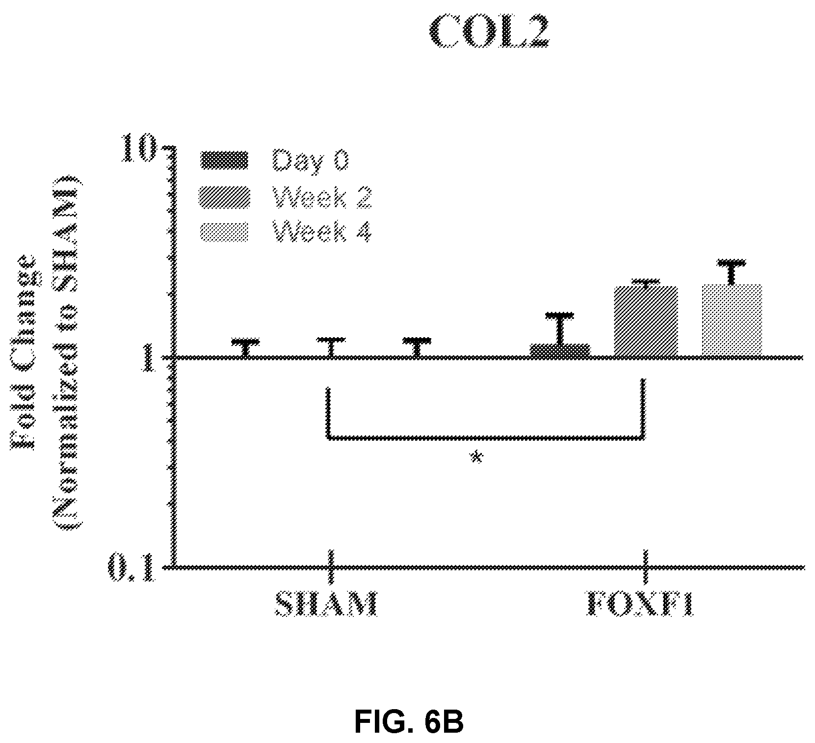 Patent US12508325 Figure 11 – Compositions and methods for reprogramming diseased musculoskeletal cells