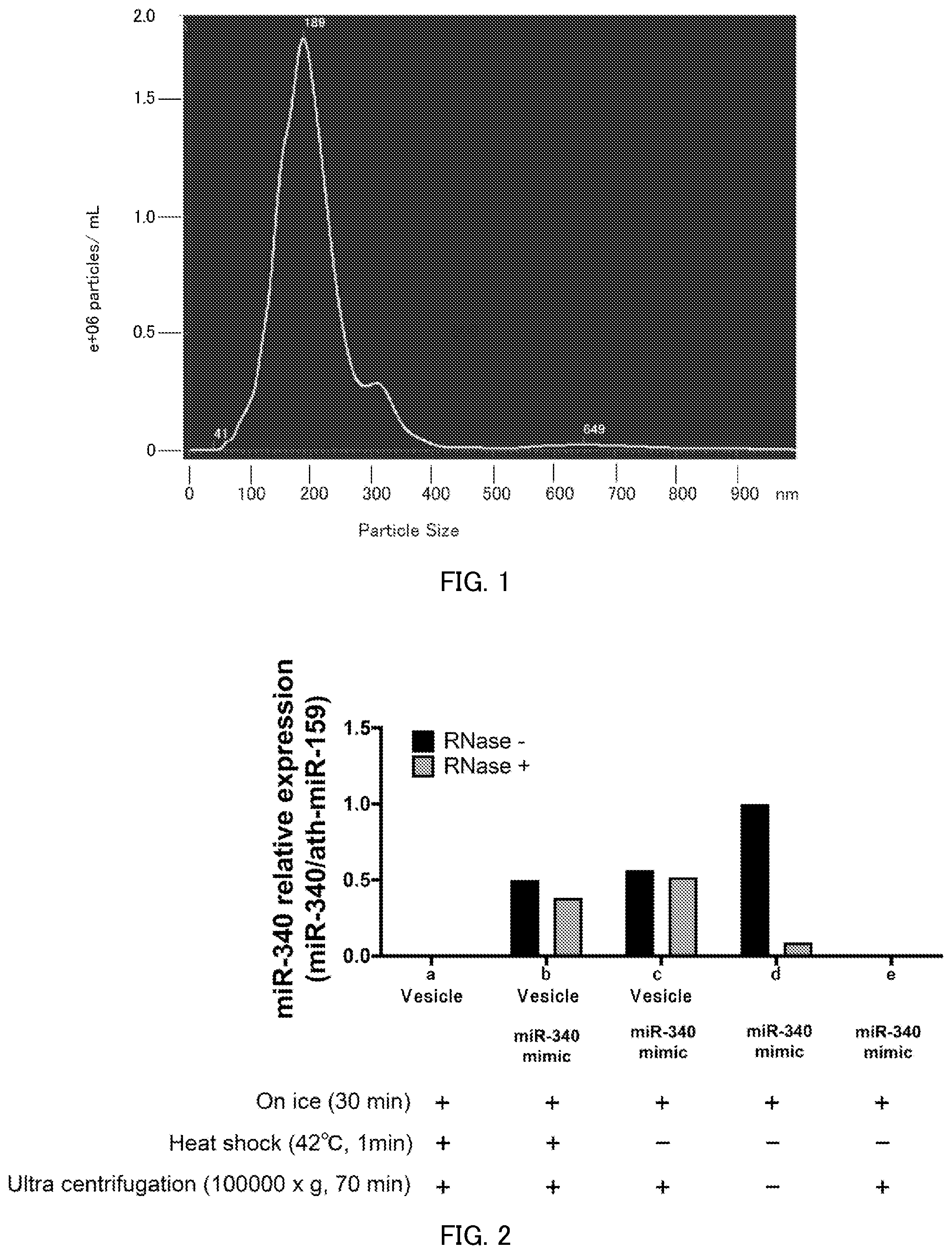 Patent US12508326 — Nucleic acid carrier and method for administering nucleic acid — Figure 1