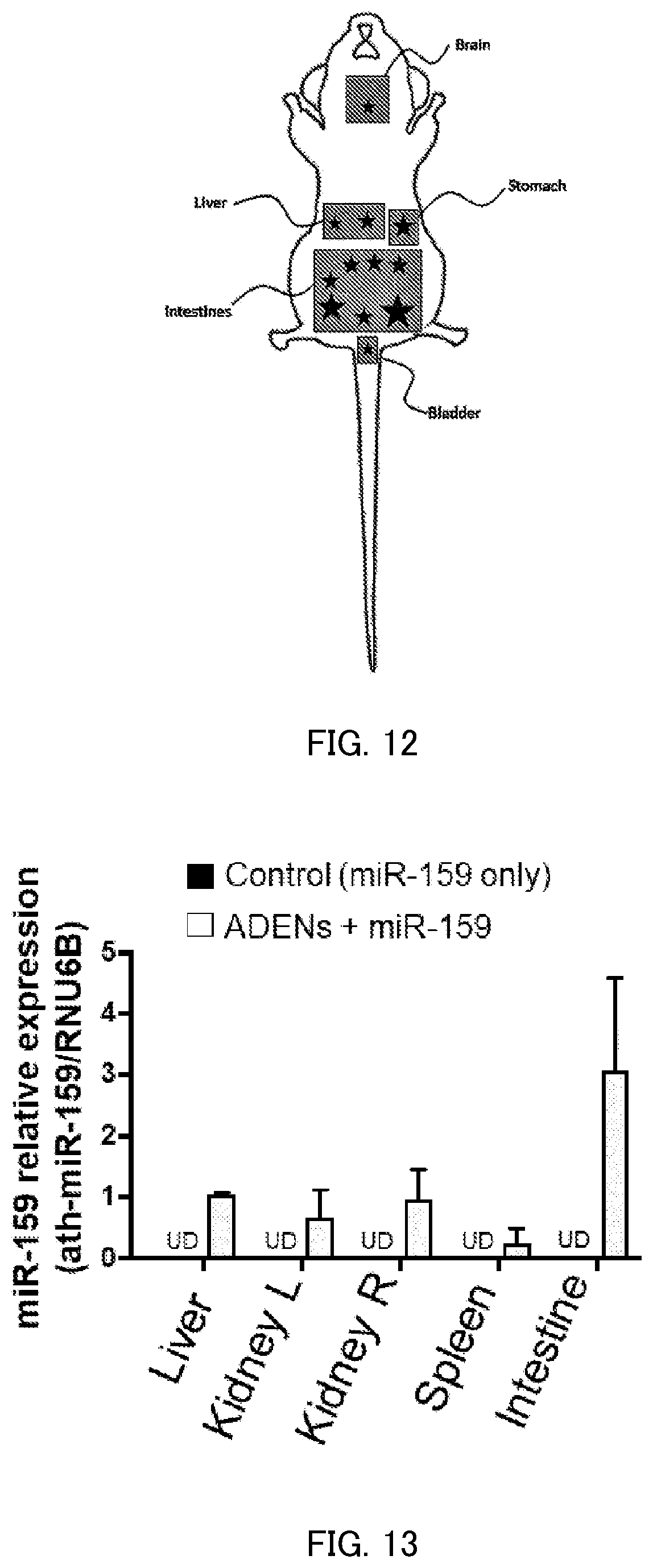 Patent US12508326 Figure 8 – Nucleic acid carrier and method for administering nucleic acid