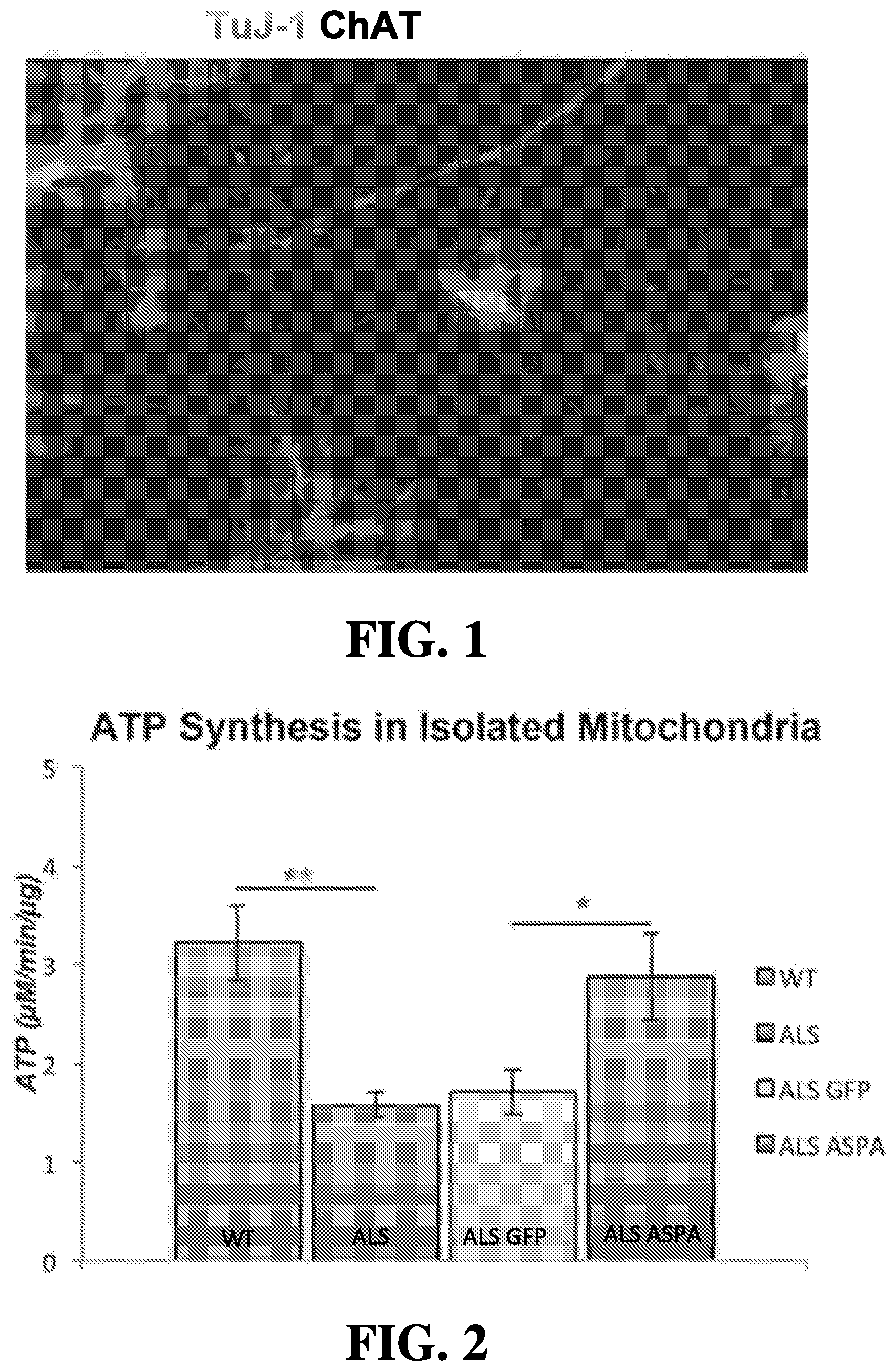 Patent US12508327 Figure 1 – Methods of treating or preventing amyotrophic lateral sclerosis