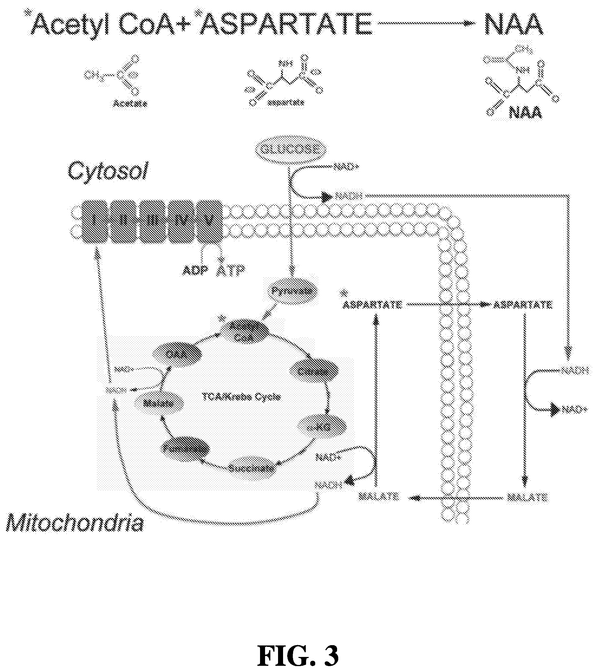 Patent US12508327 Figure 2 – Methods of treating or preventing amyotrophic lateral sclerosis