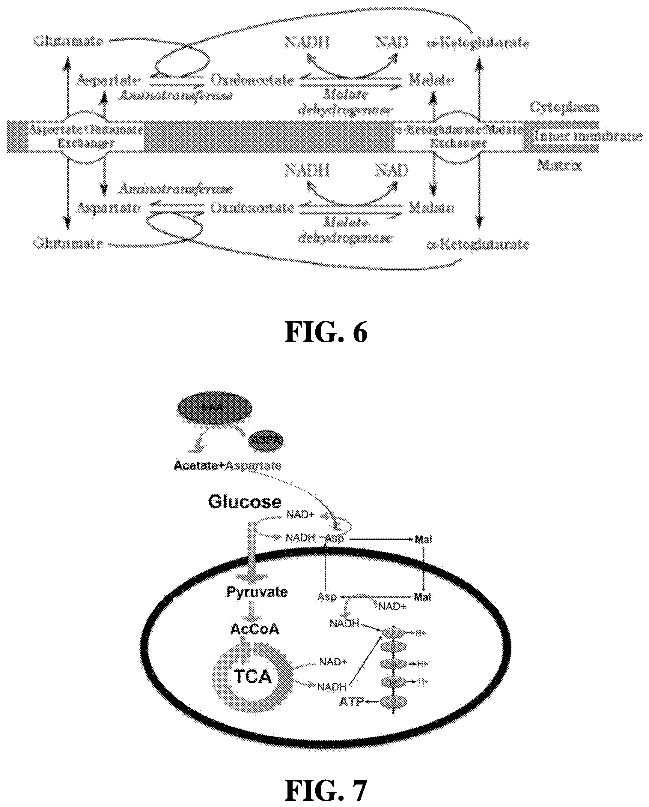 Patent US12508327 Figure 4 – Methods of treating or preventing amyotrophic lateral sclerosis
