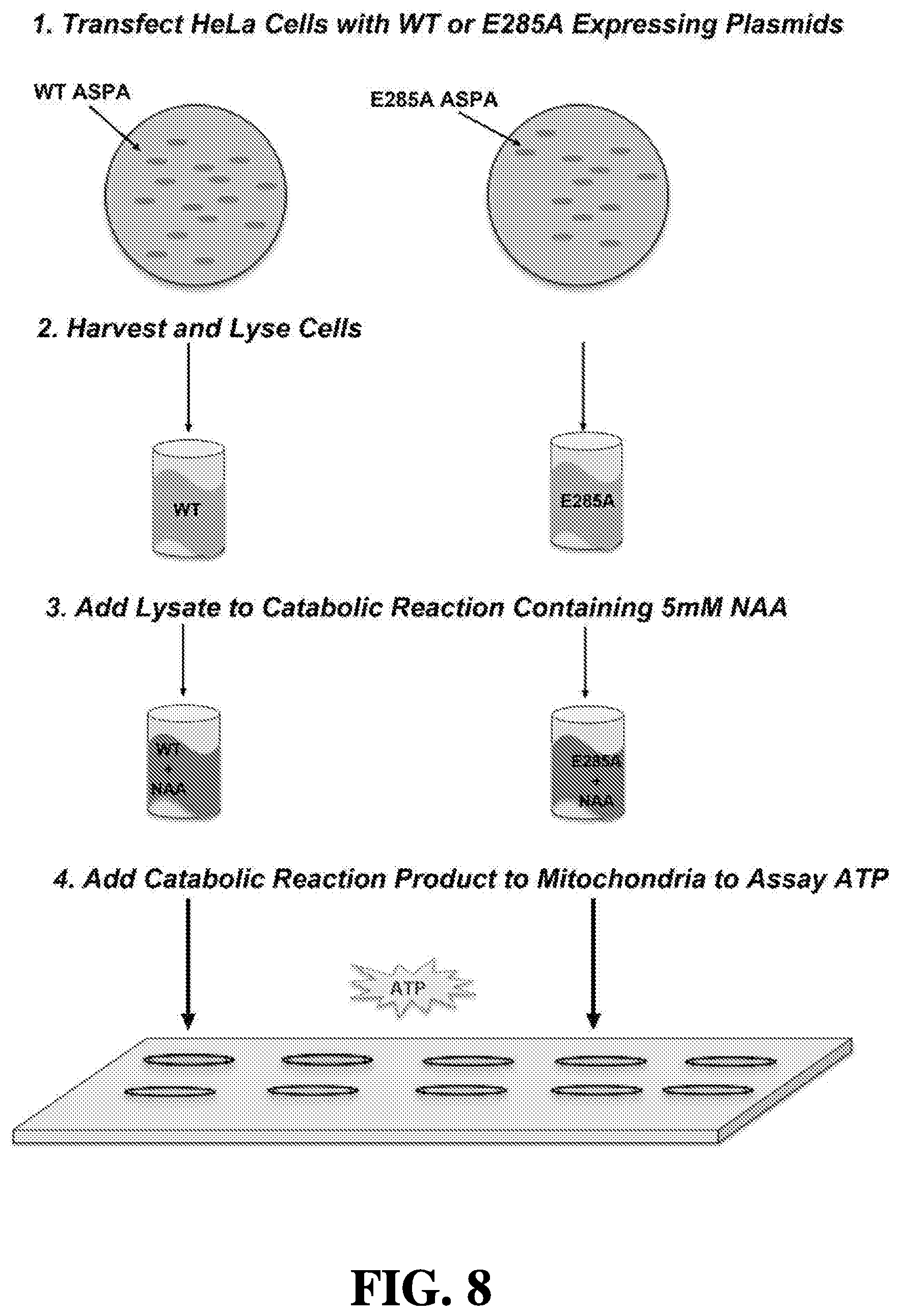 Patent US12508327 Figure 5 – Methods of treating or preventing amyotrophic lateral sclerosis