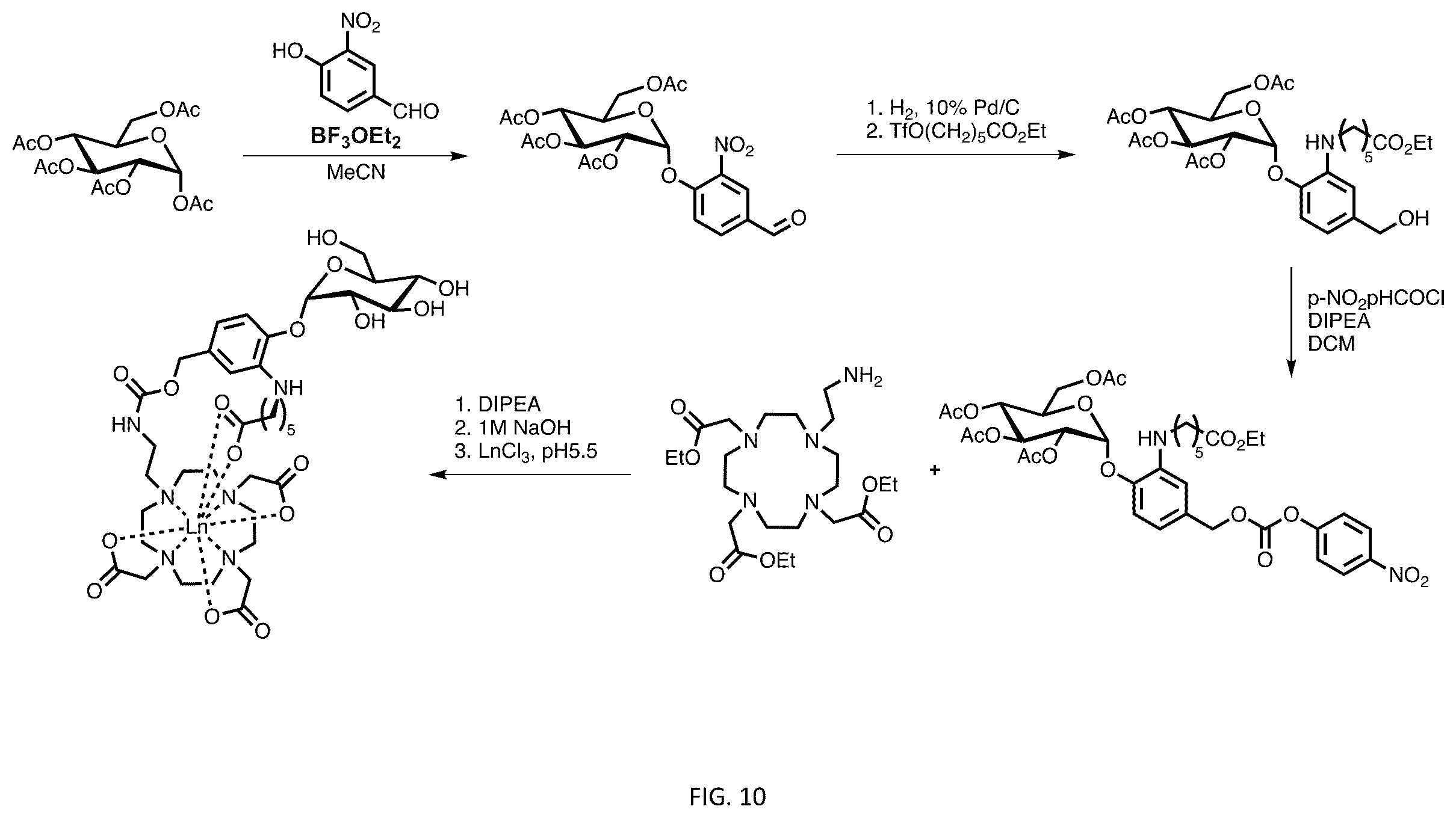 Patent US12508328 Figure 12 – Bio-activated reporters to visualize, in real time, specific gene therapy products