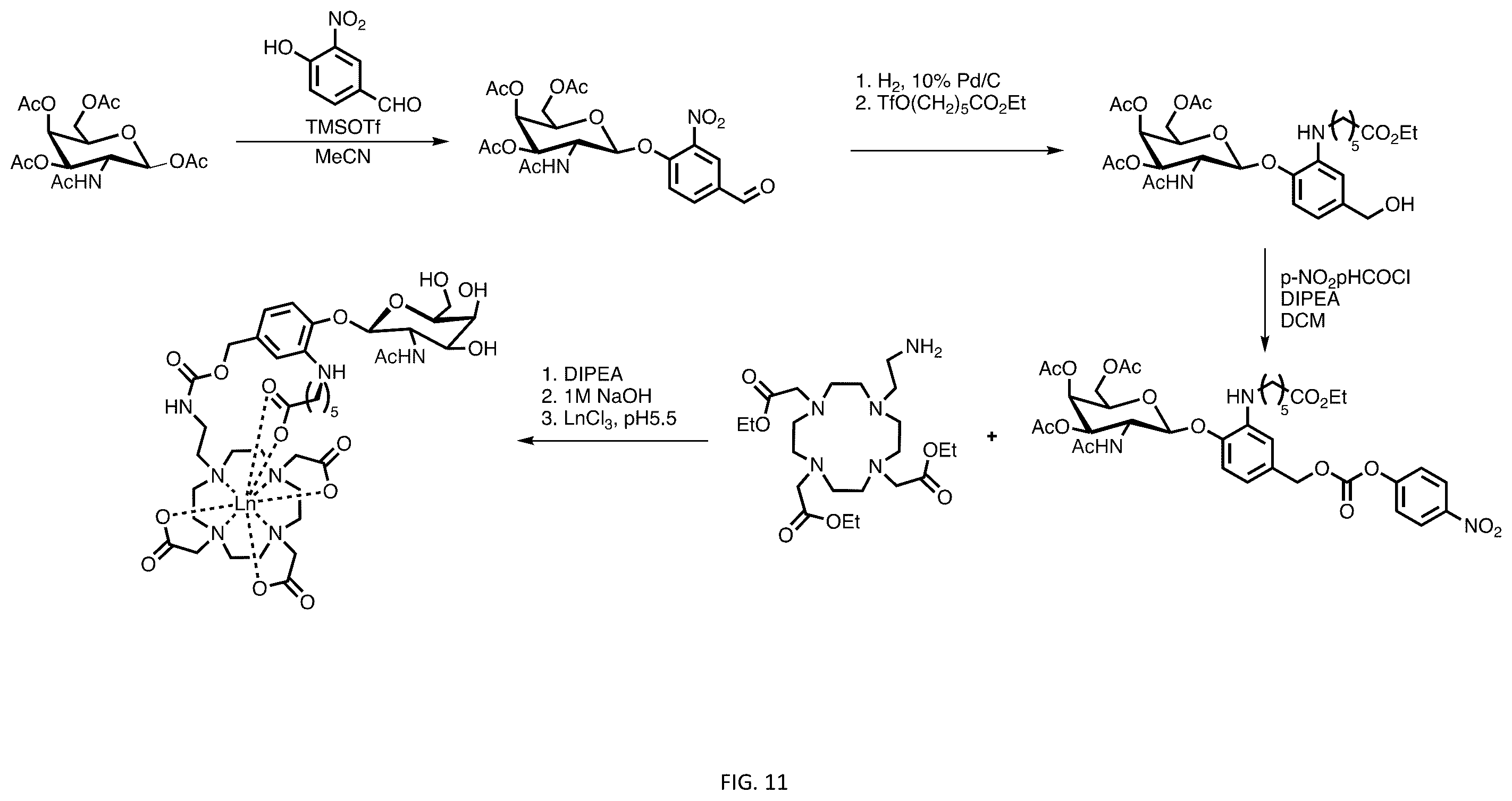 Patent US12508328 Figure 13 – Bio-activated reporters to visualize, in real time, specific gene therapy products