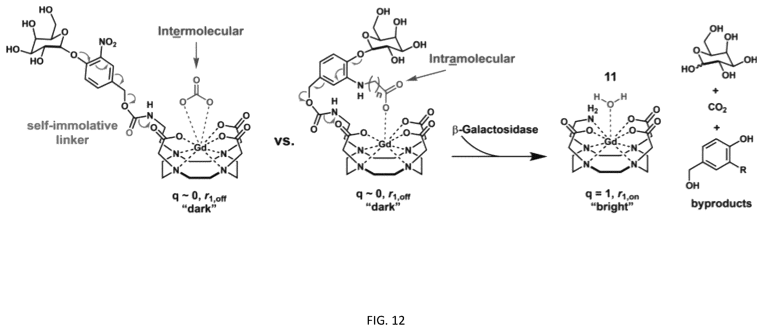 Patent US12508328 Figure 14 – Bio-activated reporters to visualize, in real time, specific gene therapy products